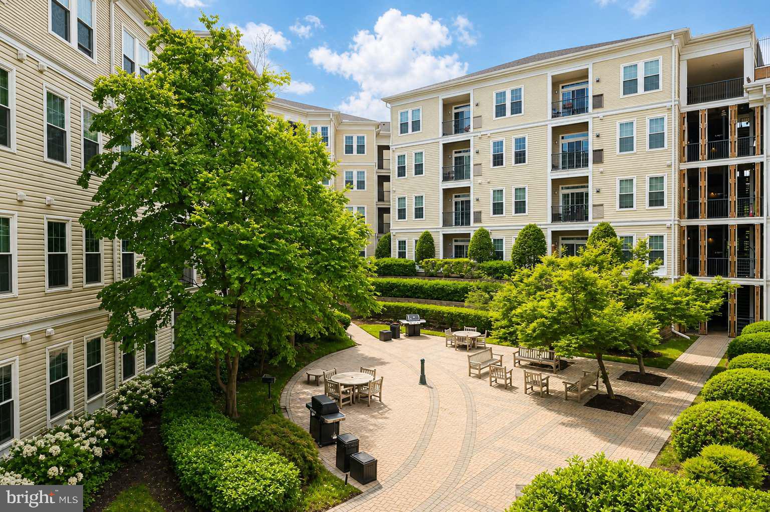 GROVE AT ARLINGTON - Residential