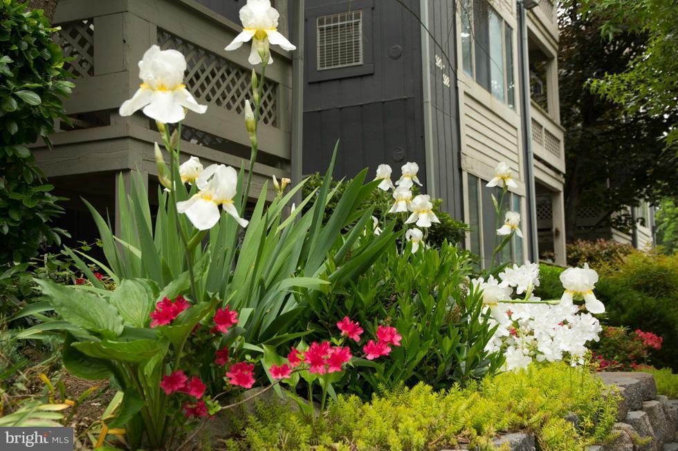 WINDBROOKE - Residential Lease