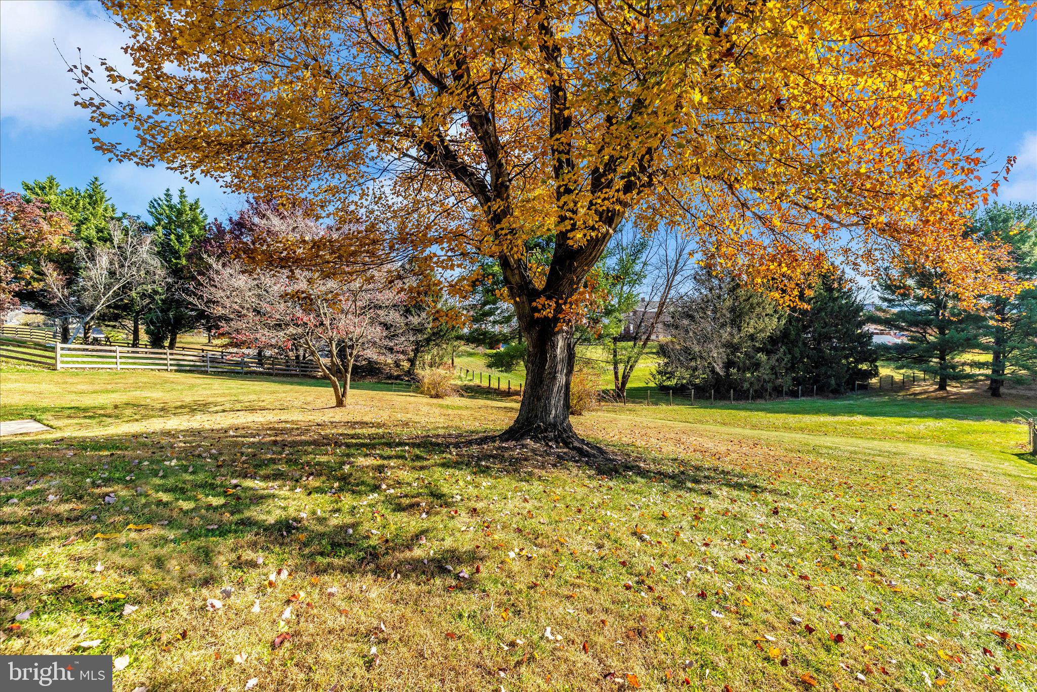MEADOWRIDGE - Residential