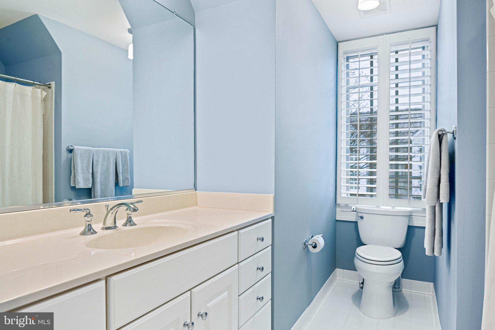 WILLIAMSBURG COMMONS - Residential