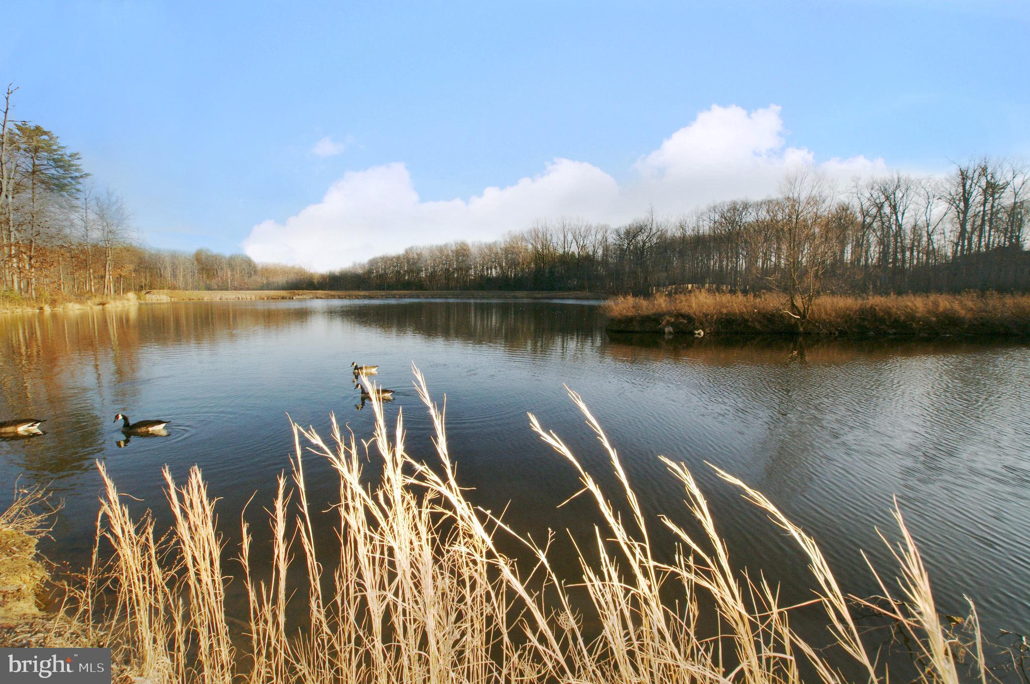 CROSSPOINTE - Residential