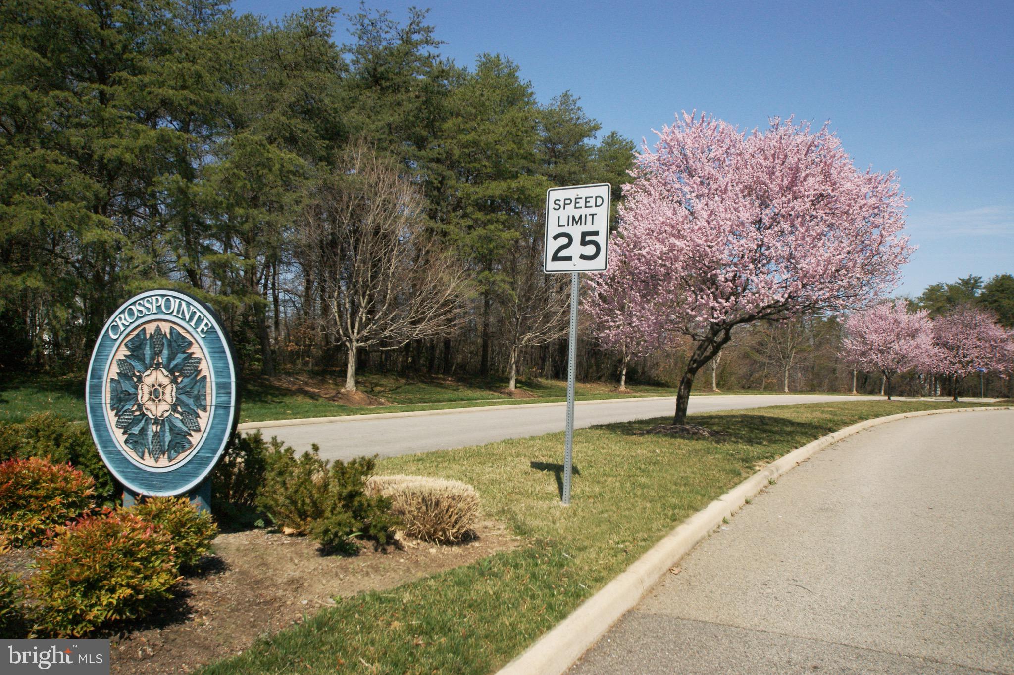 CROSSPOINTE - Residential