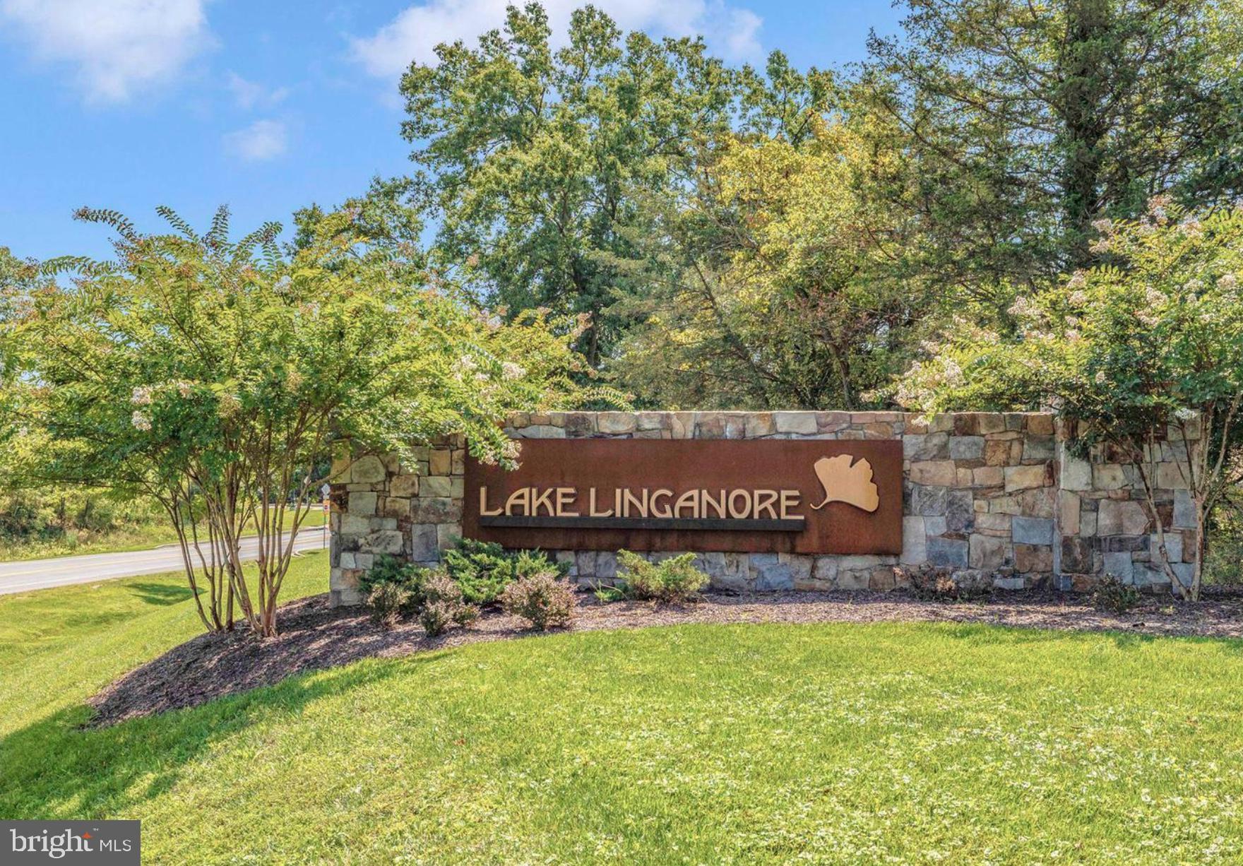 LAKE LINGANORE TOWN CENTER - Residential