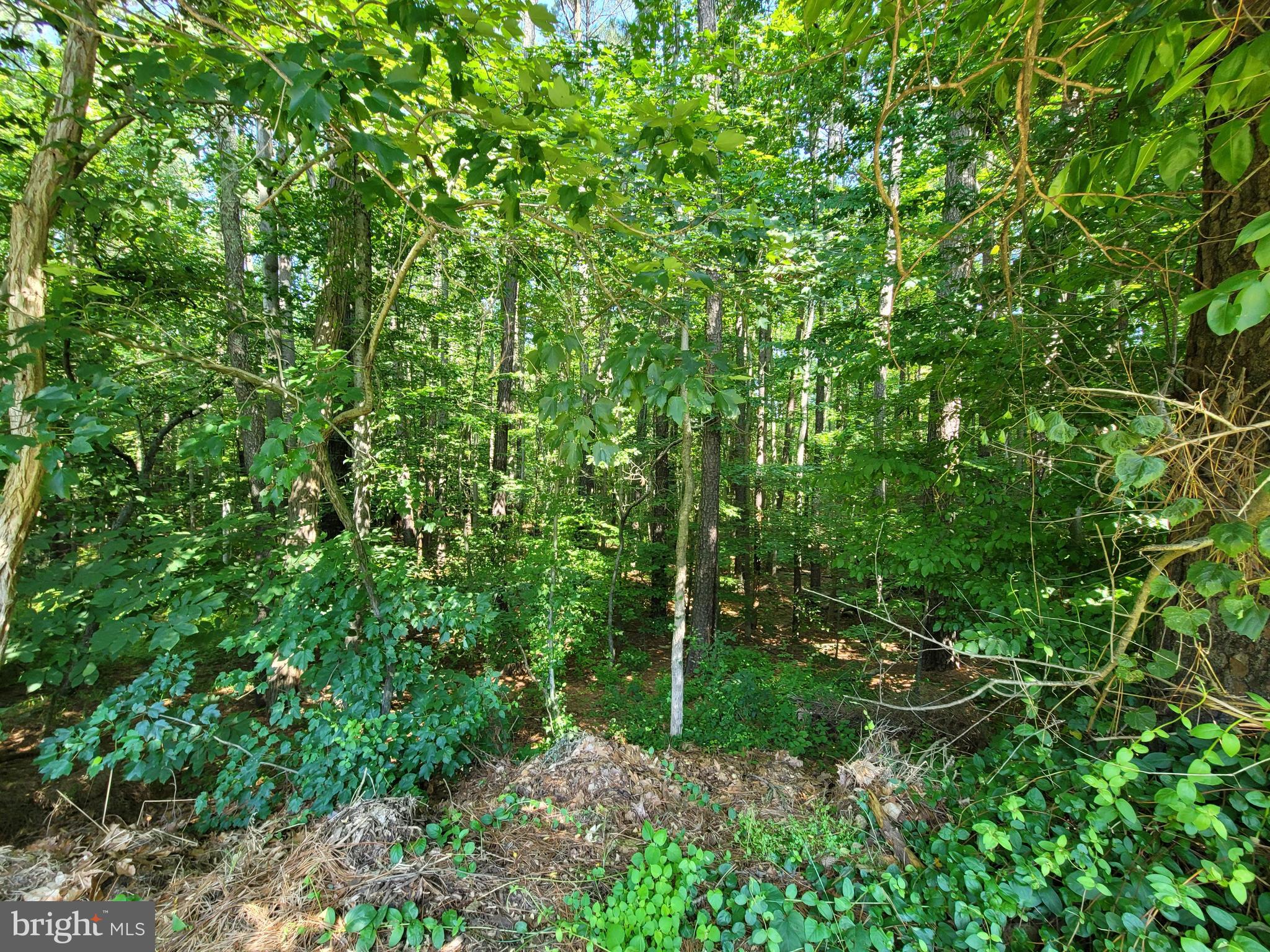 ARRINGTON ROAD