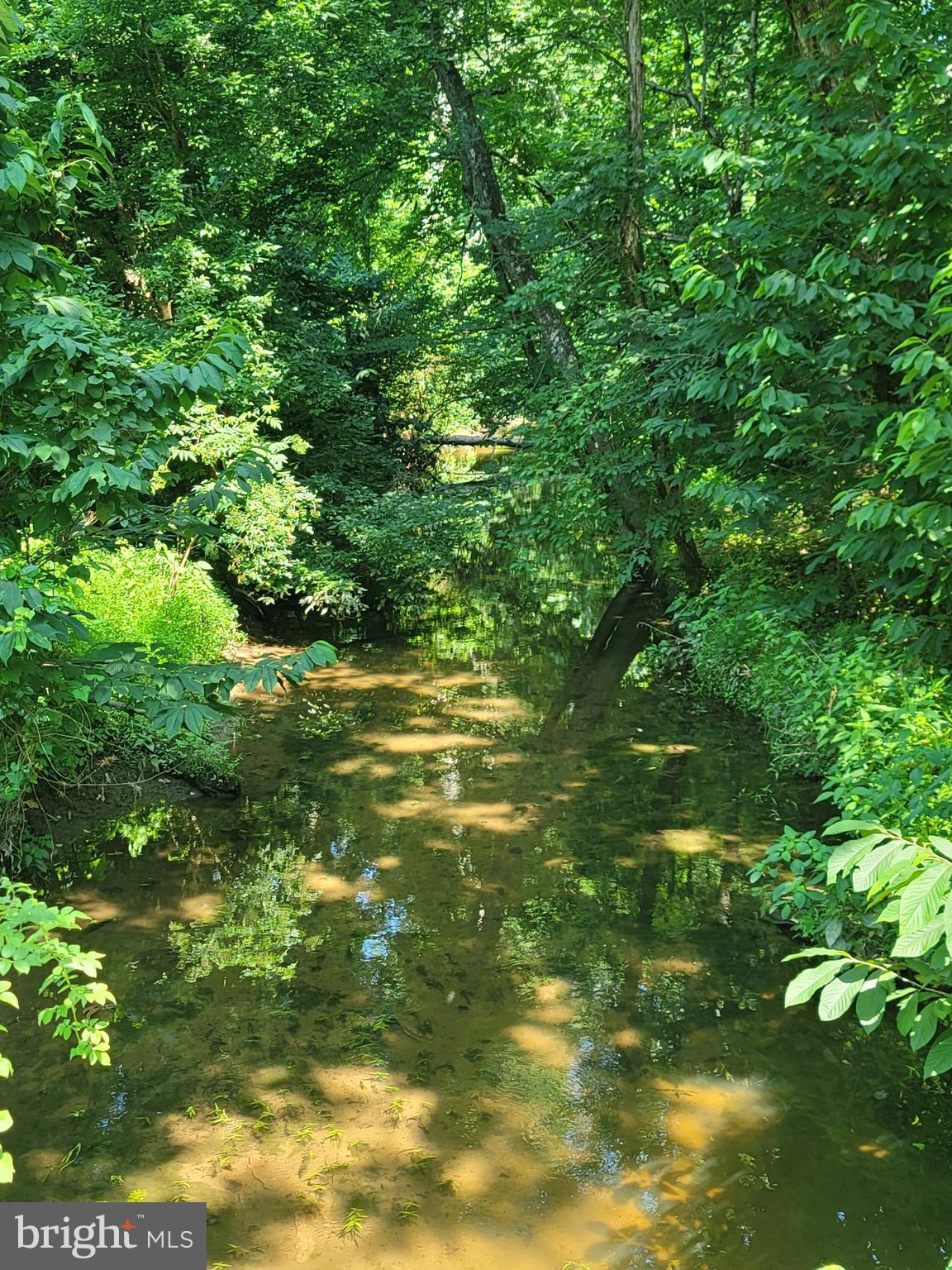 ARRINGTON ROAD