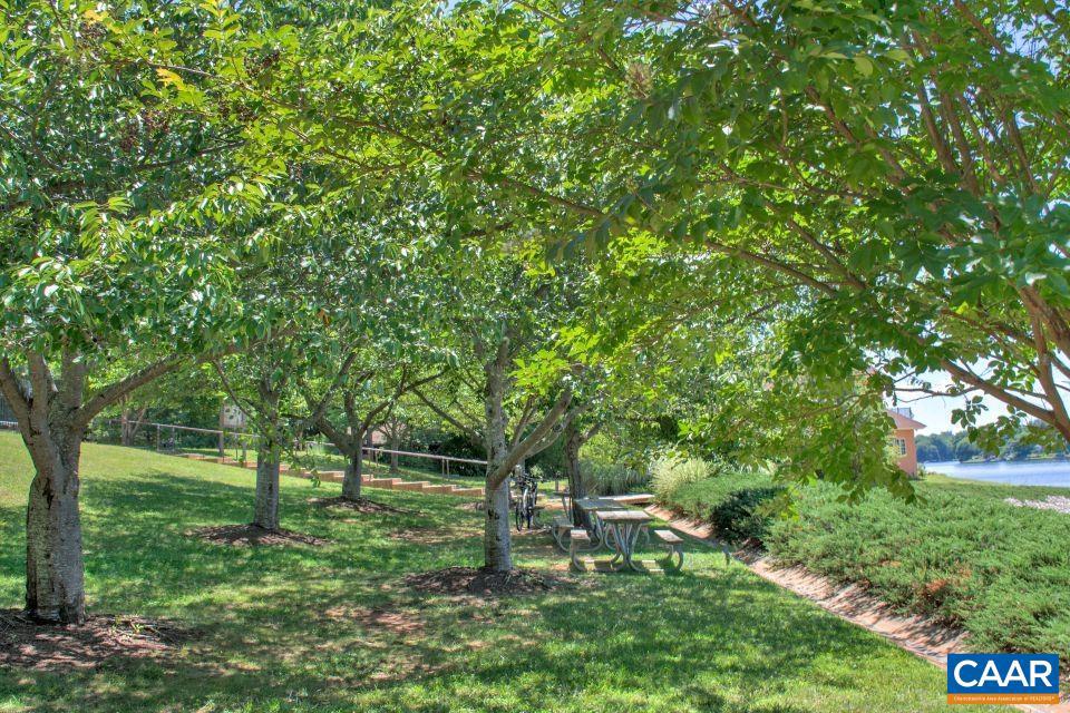 LAKE MONTICELLO - Residential