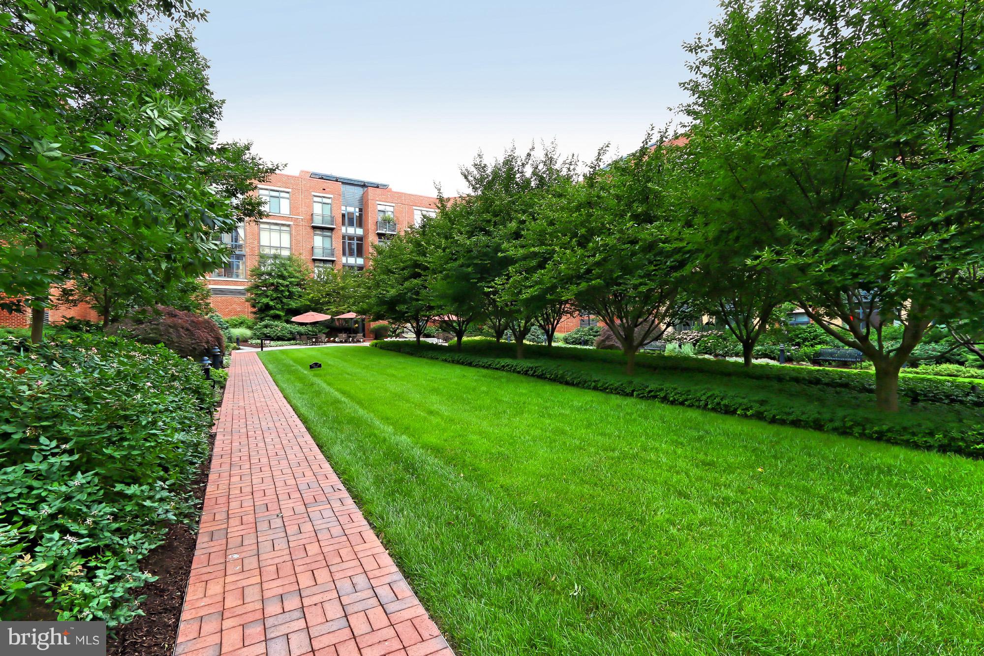 CONDOS AT CARLYLE SQUARE - Residential Lease