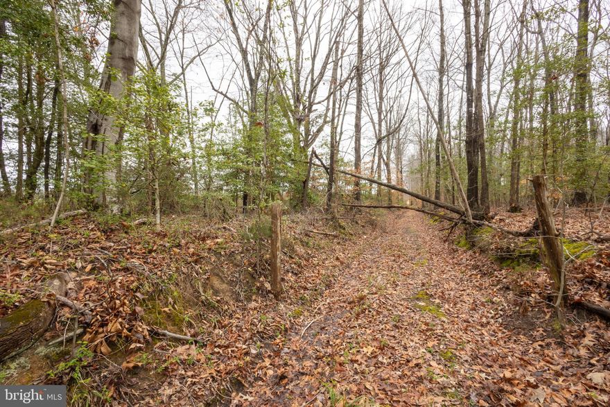 Welcome to Woodford! This is a hardwood forest, situated next to a pond. The lot is populated with running cedar, gooseberry, blueberry, partridge berry, holly, oak, dogwood, beach and tulip abound! There is a very large oak begging for a bench swing. Come by and check it out! Has perked for 3 bedroom conventional system.