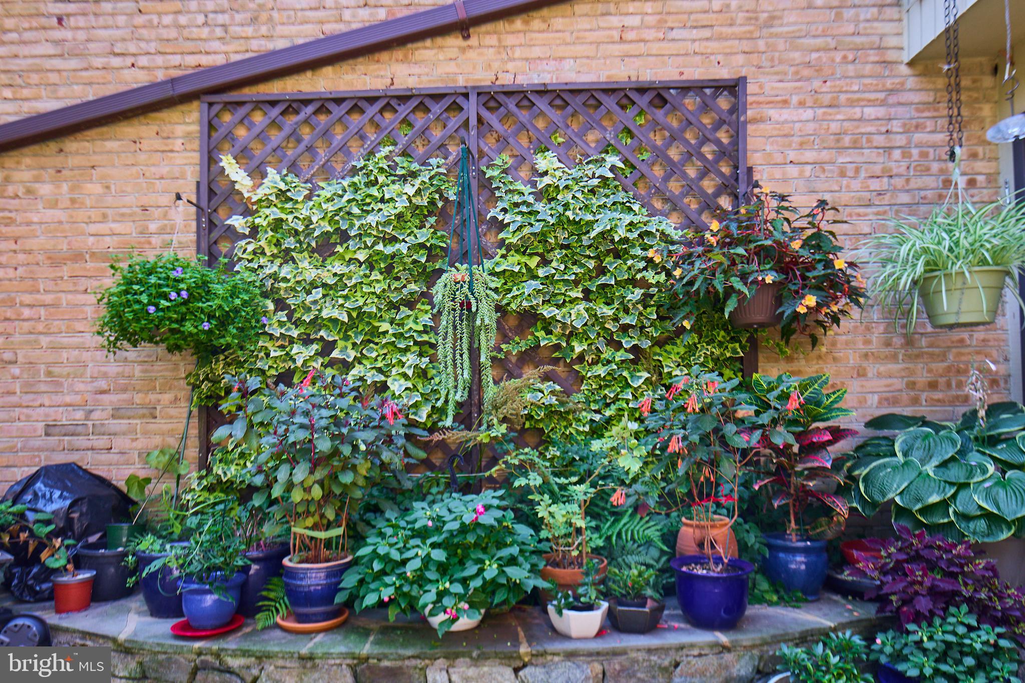 CHESTERFIELD MEWS - Residential