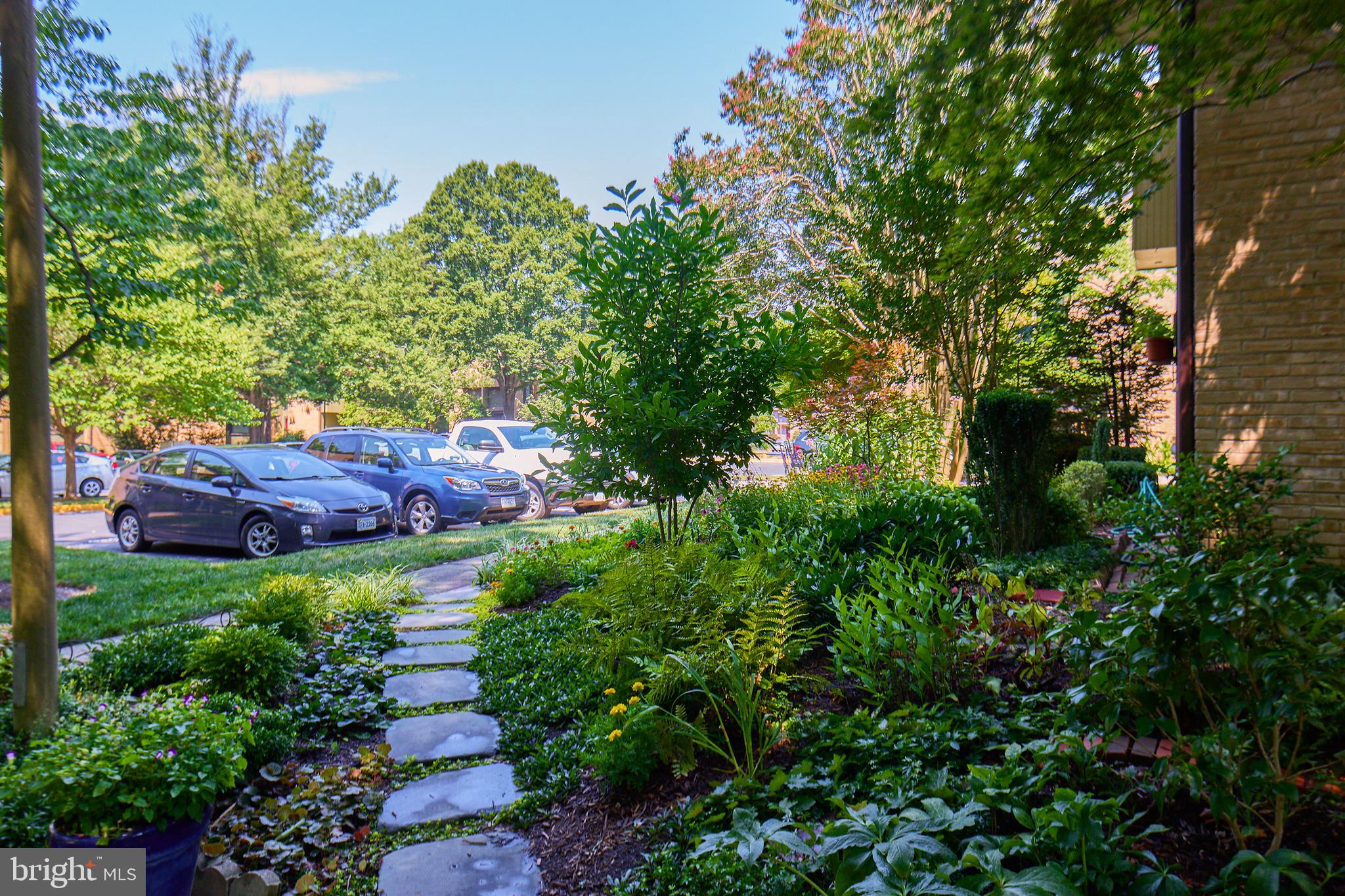 CHESTERFIELD MEWS - Residential