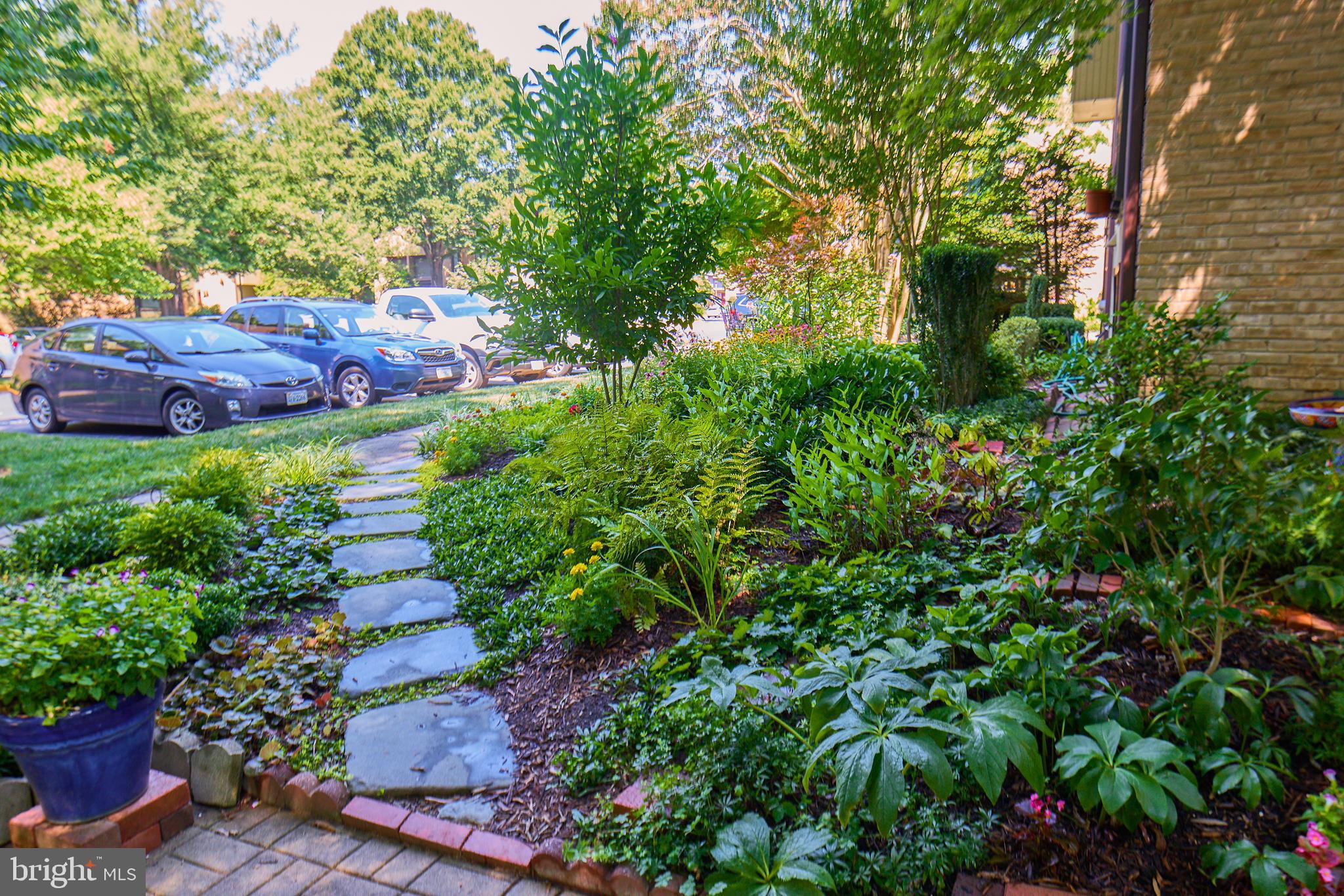 CHESTERFIELD MEWS - Residential