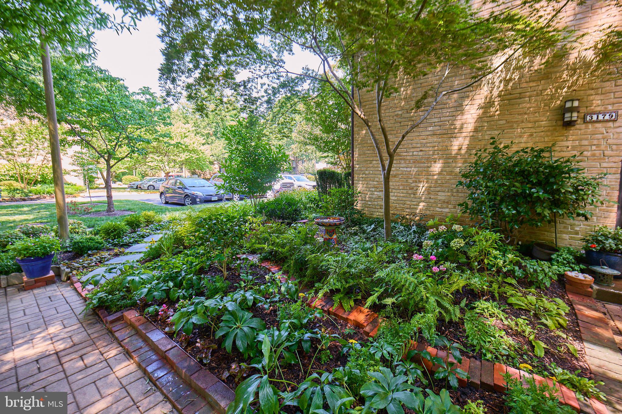 CHESTERFIELD MEWS - Residential