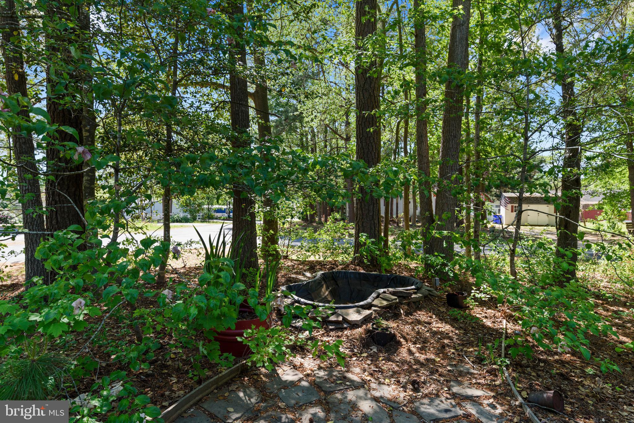 AVALON PARK - Residential