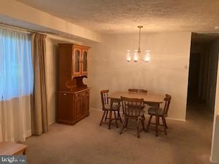 501 HEATHER RIDGE DRIVE C 8C