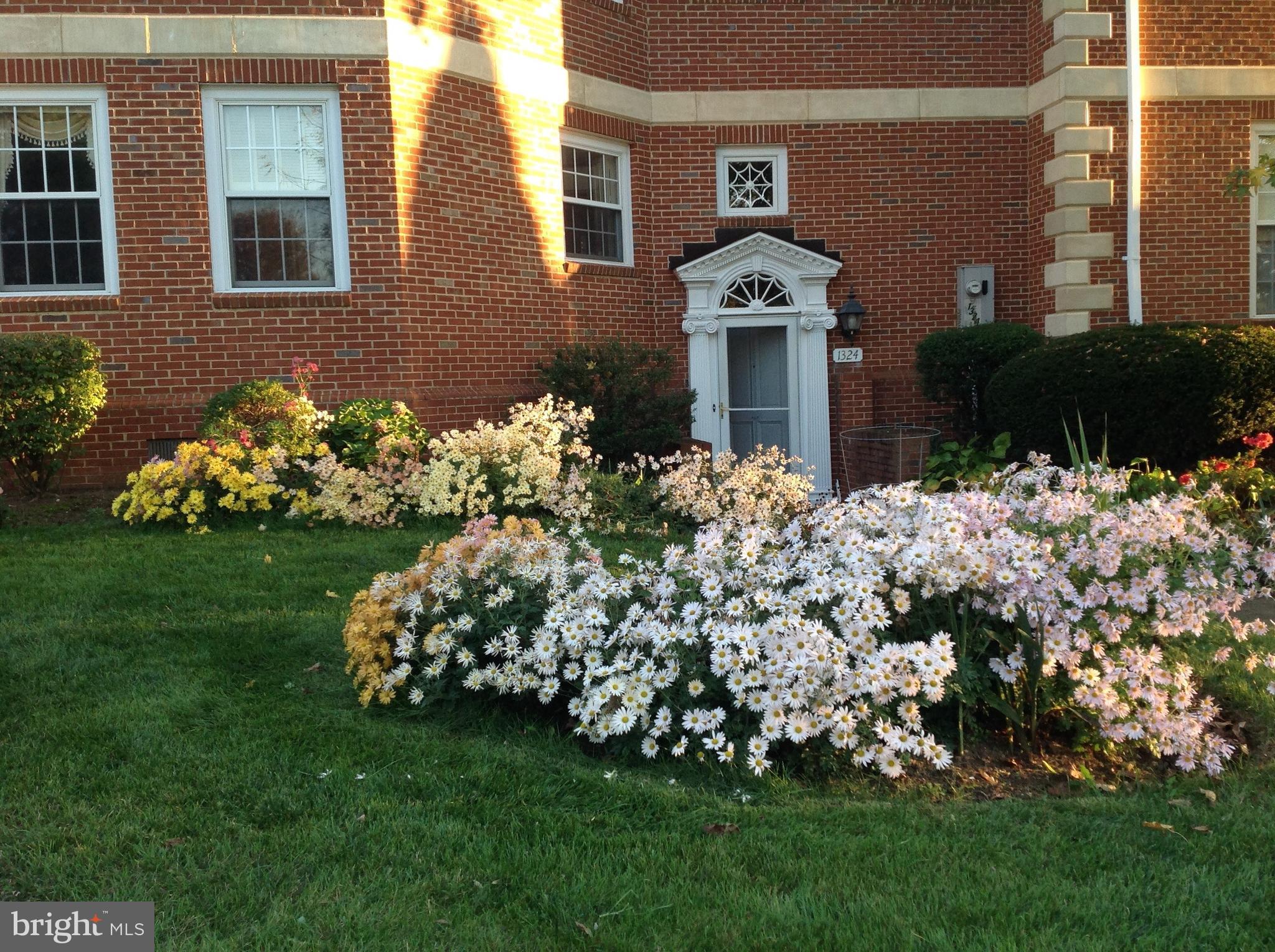 MEADOWBRANCH MEWS - Residential