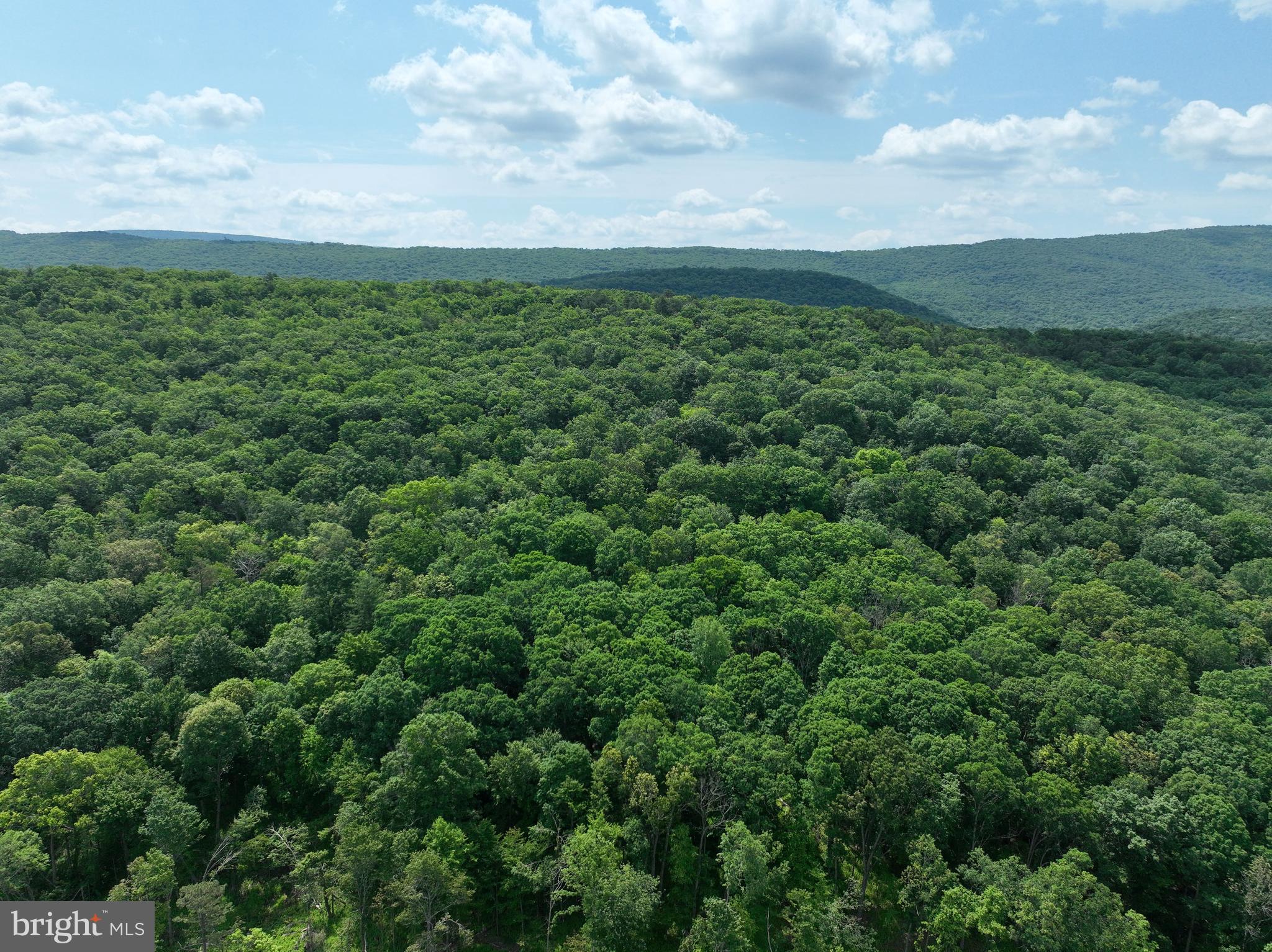 NONE UNRESTRICTED - Land