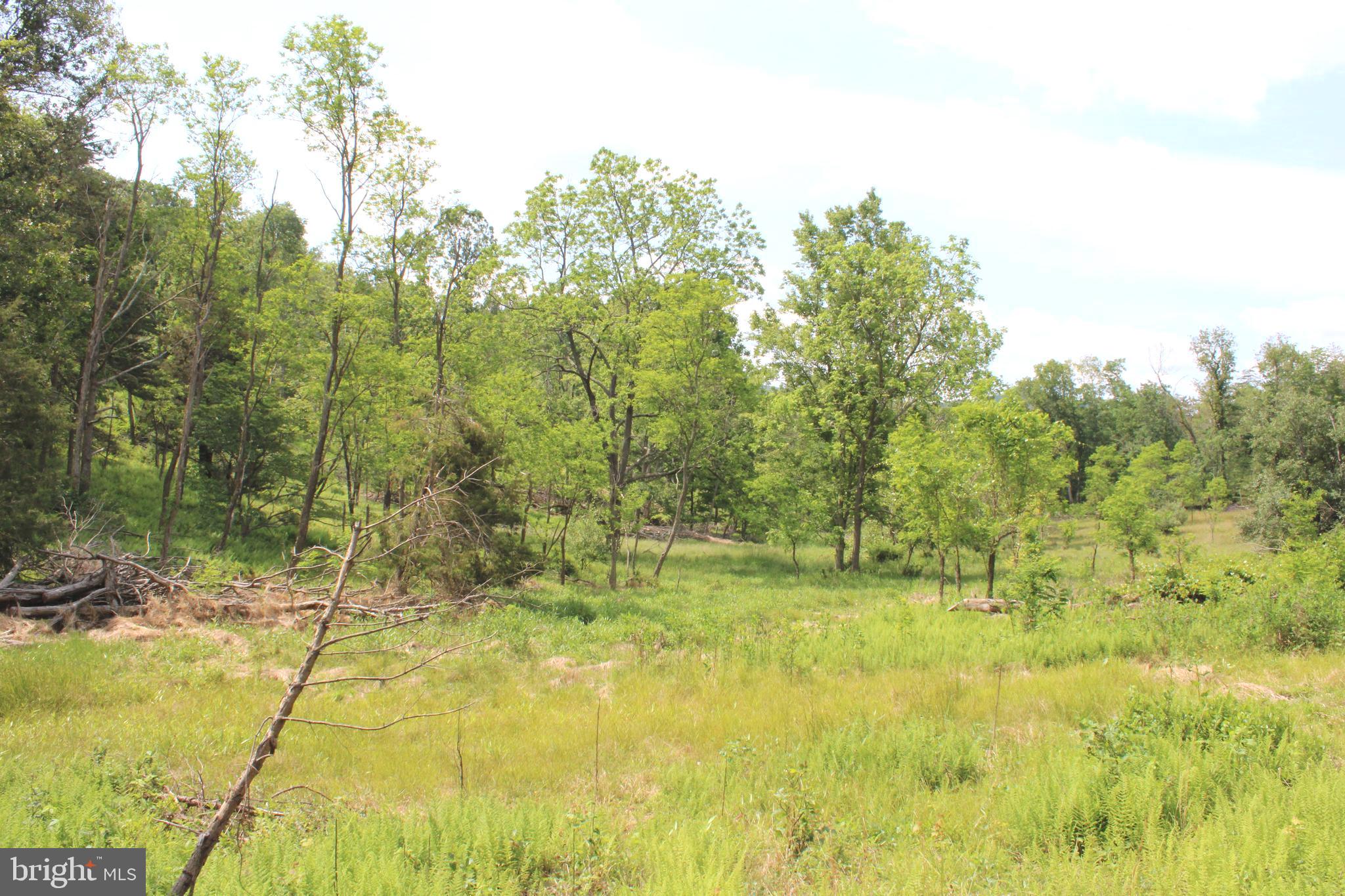 NONE UNRESTRICTED - Land