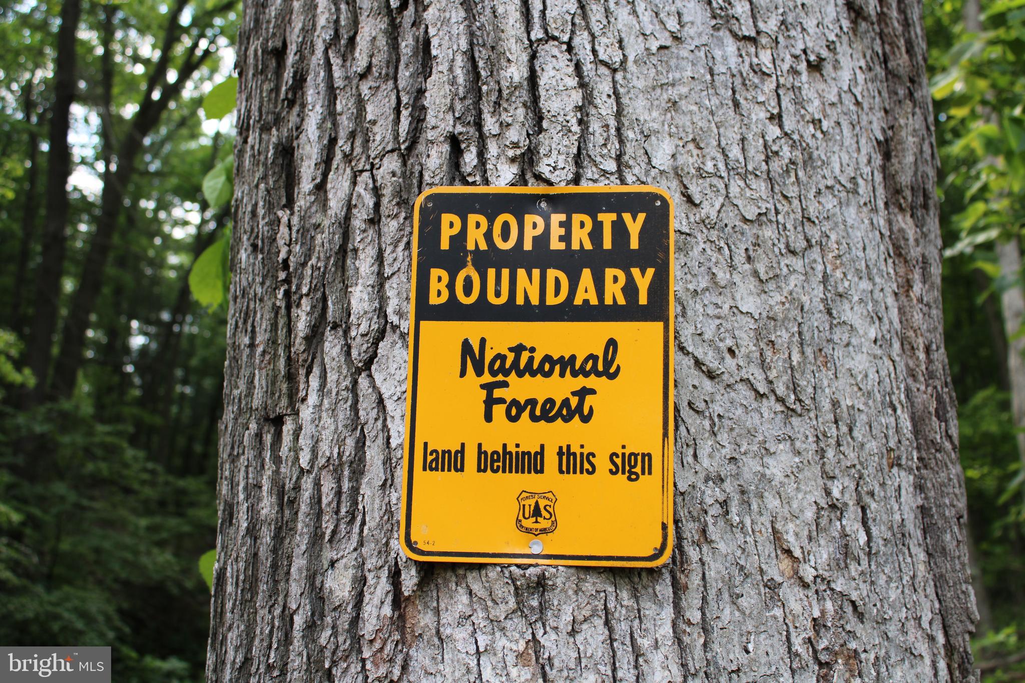 NONE UNRESTRICTED - Land