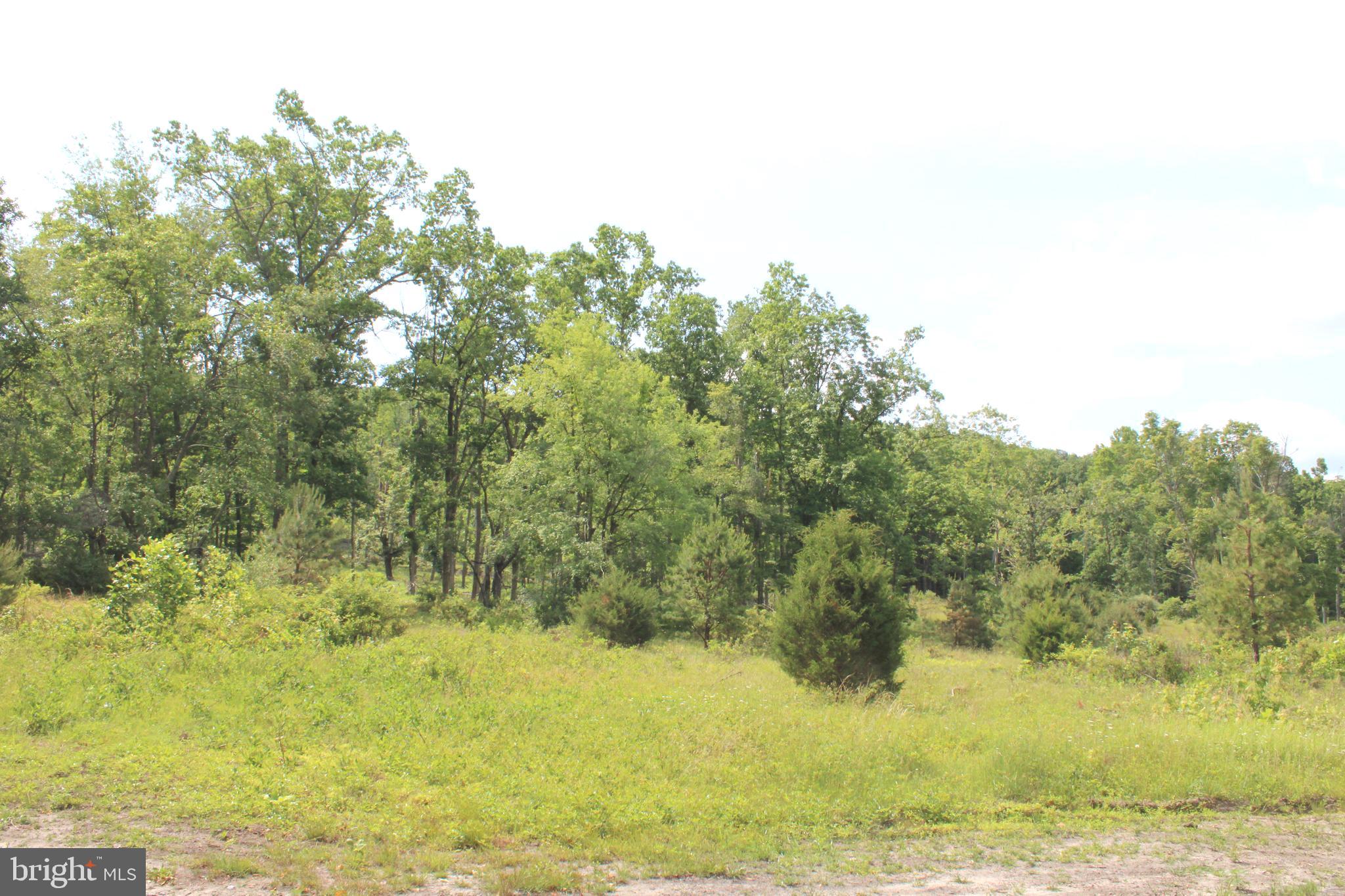 NONE UNRESTRICTED - Land