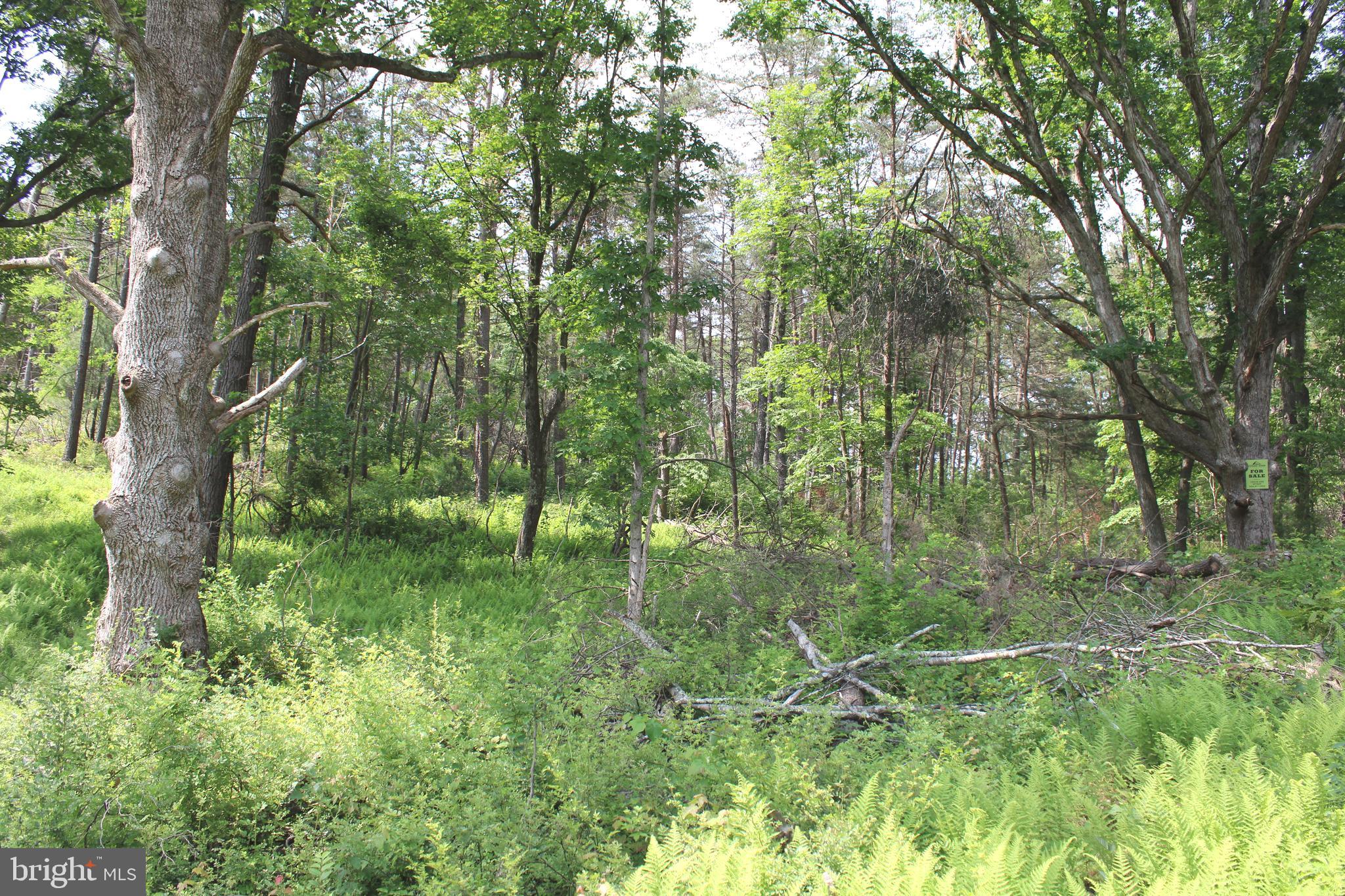 NONE UNRESTRICTED - Land