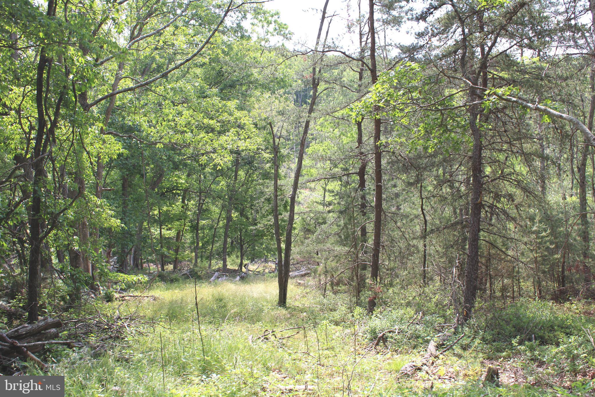 NONE UNRESTRICTED - Land