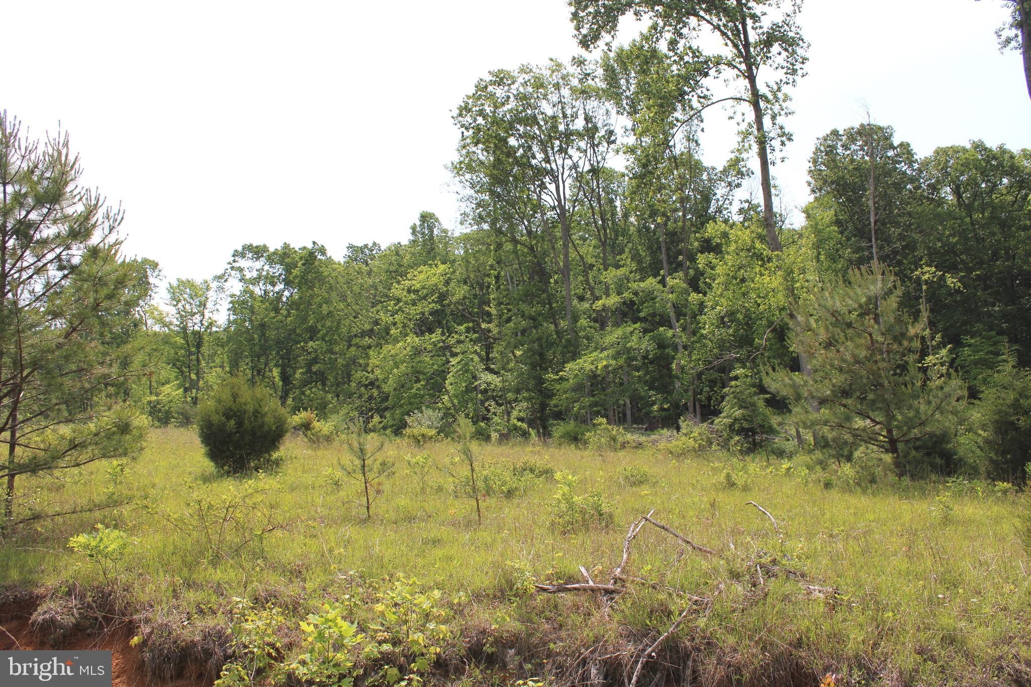 NONE UNRESTRICTED - Land