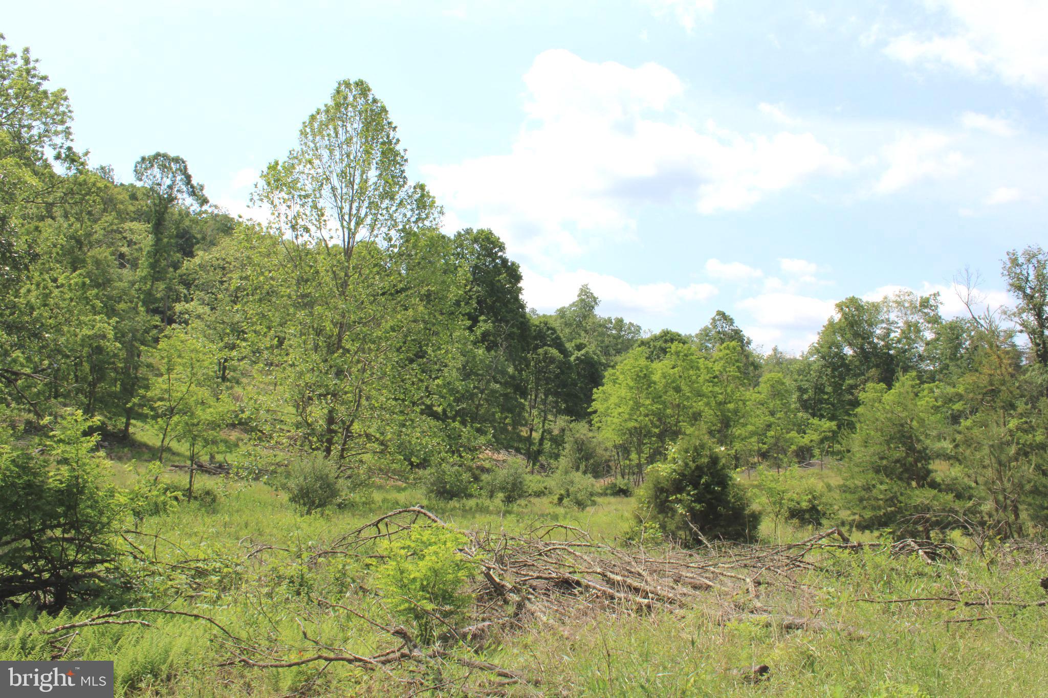 NONE UNRESTRICTED - Land