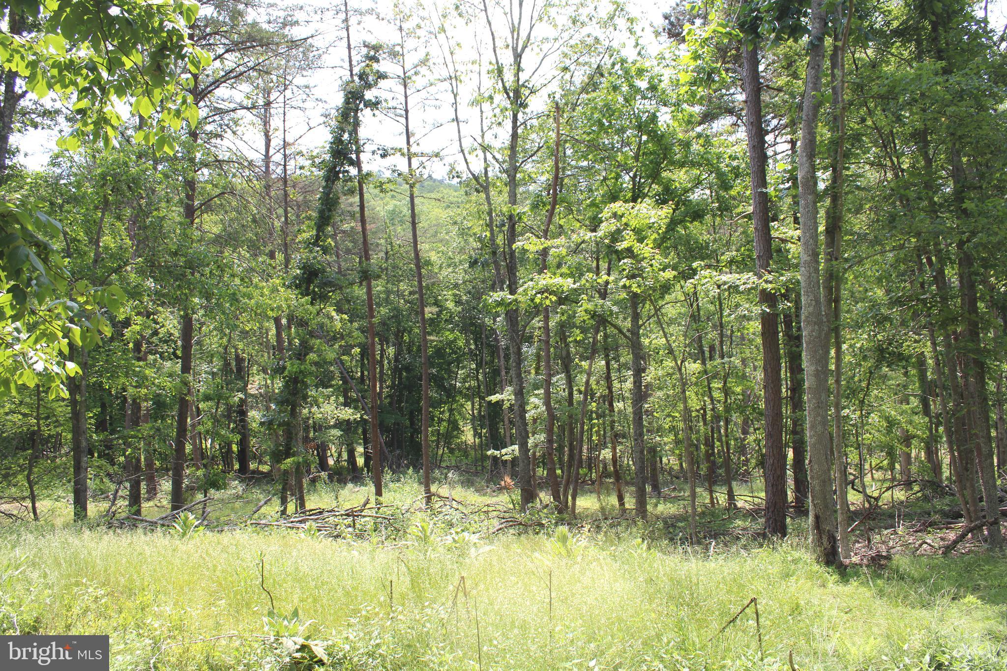 NONE UNRESTRICTED - Land