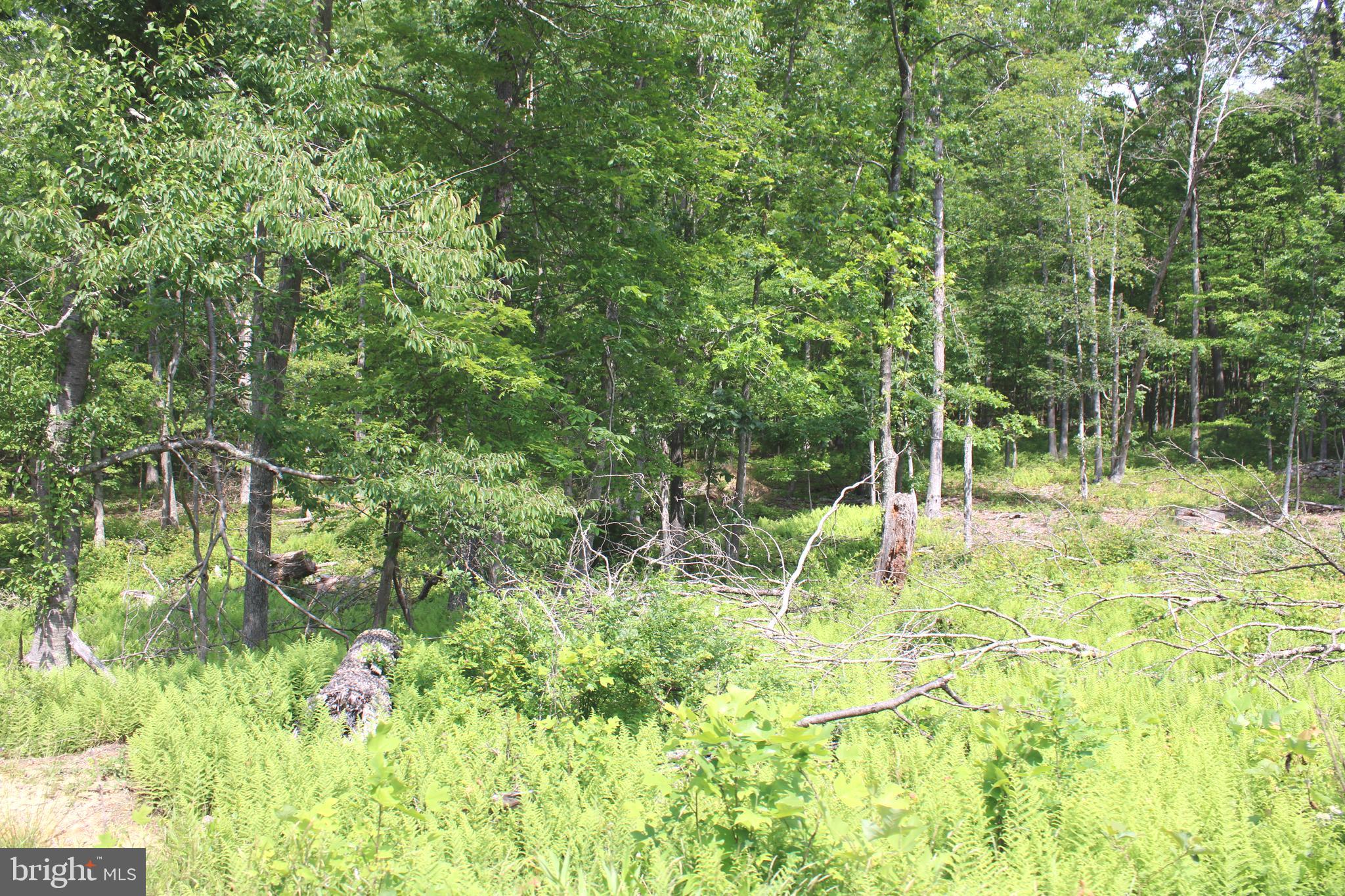 NONE UNRESTRICTED - Land