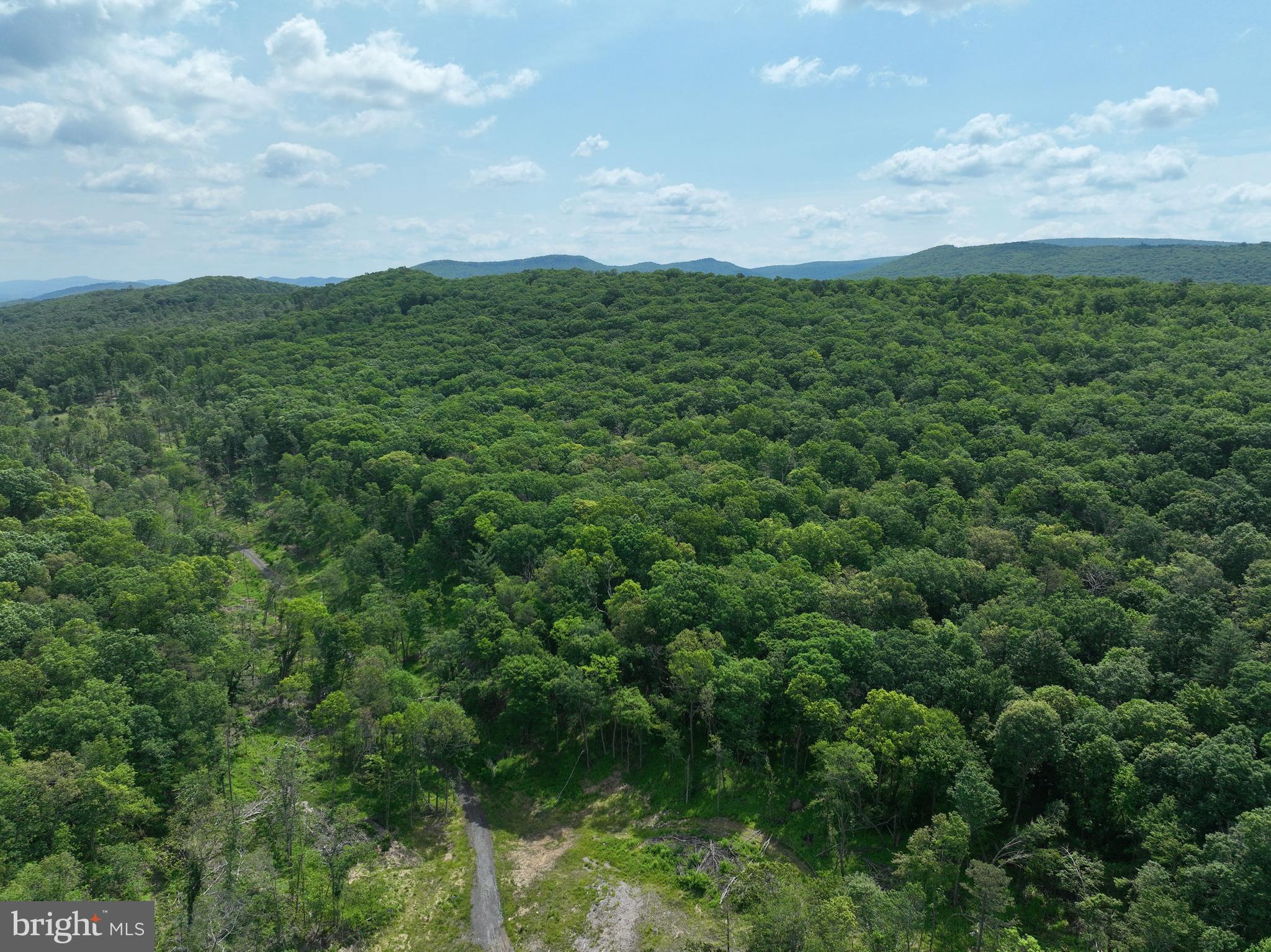 NONE UNRESTRICTED - Land