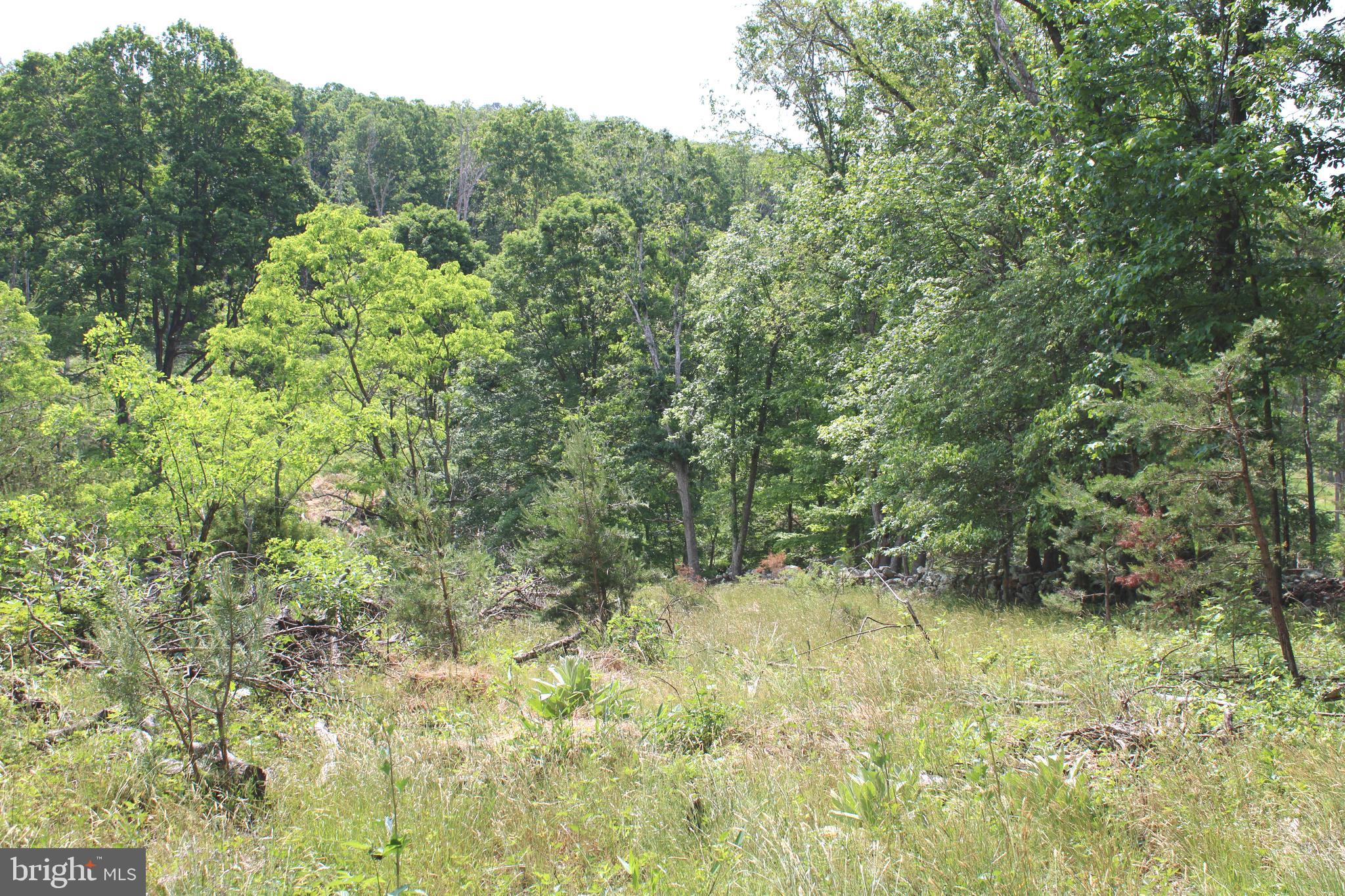 NONE UNRESTRICTED - Land