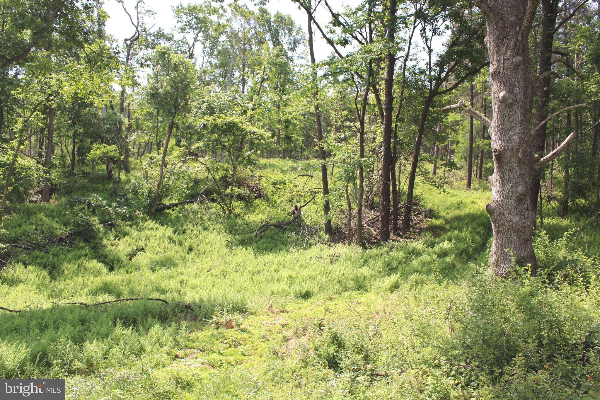 NONE UNRESTRICTED - Land