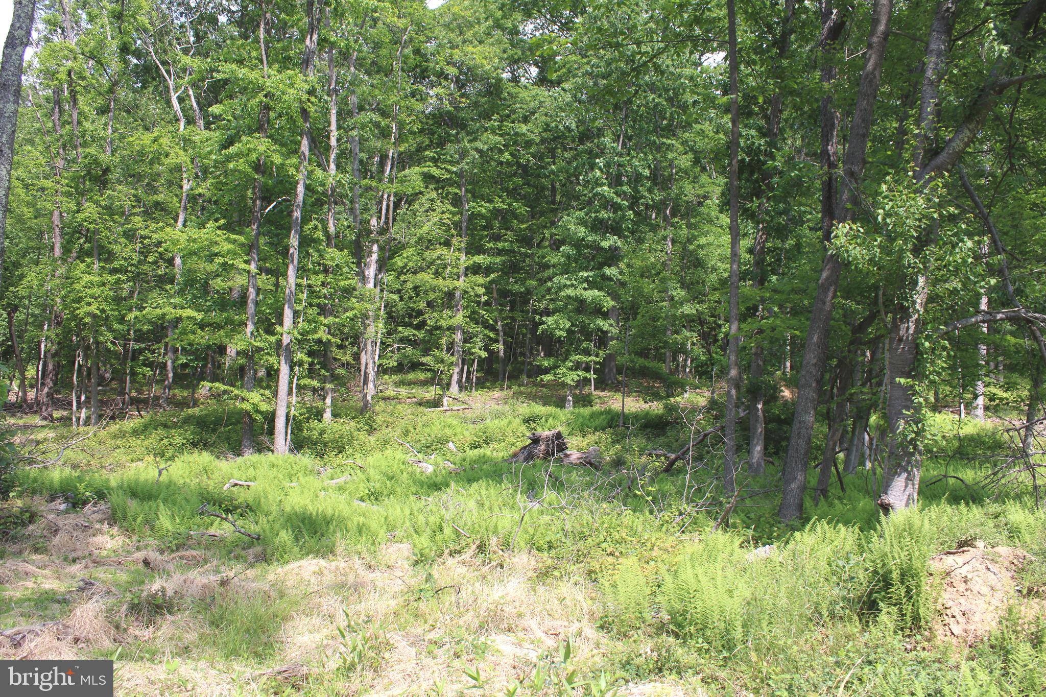 NONE UNRESTRICTED - Land