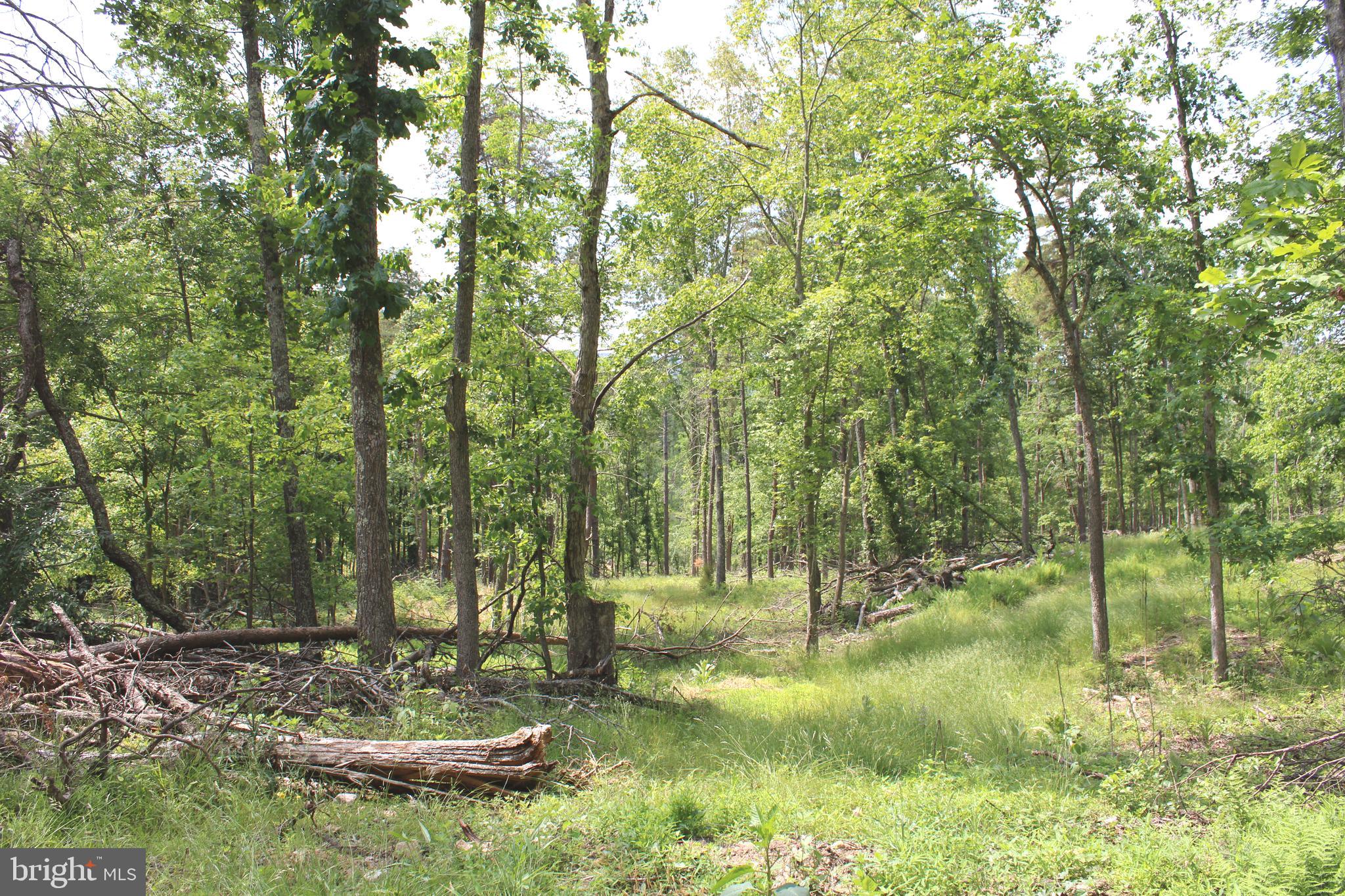 NONE UNRESTRICTED - Land