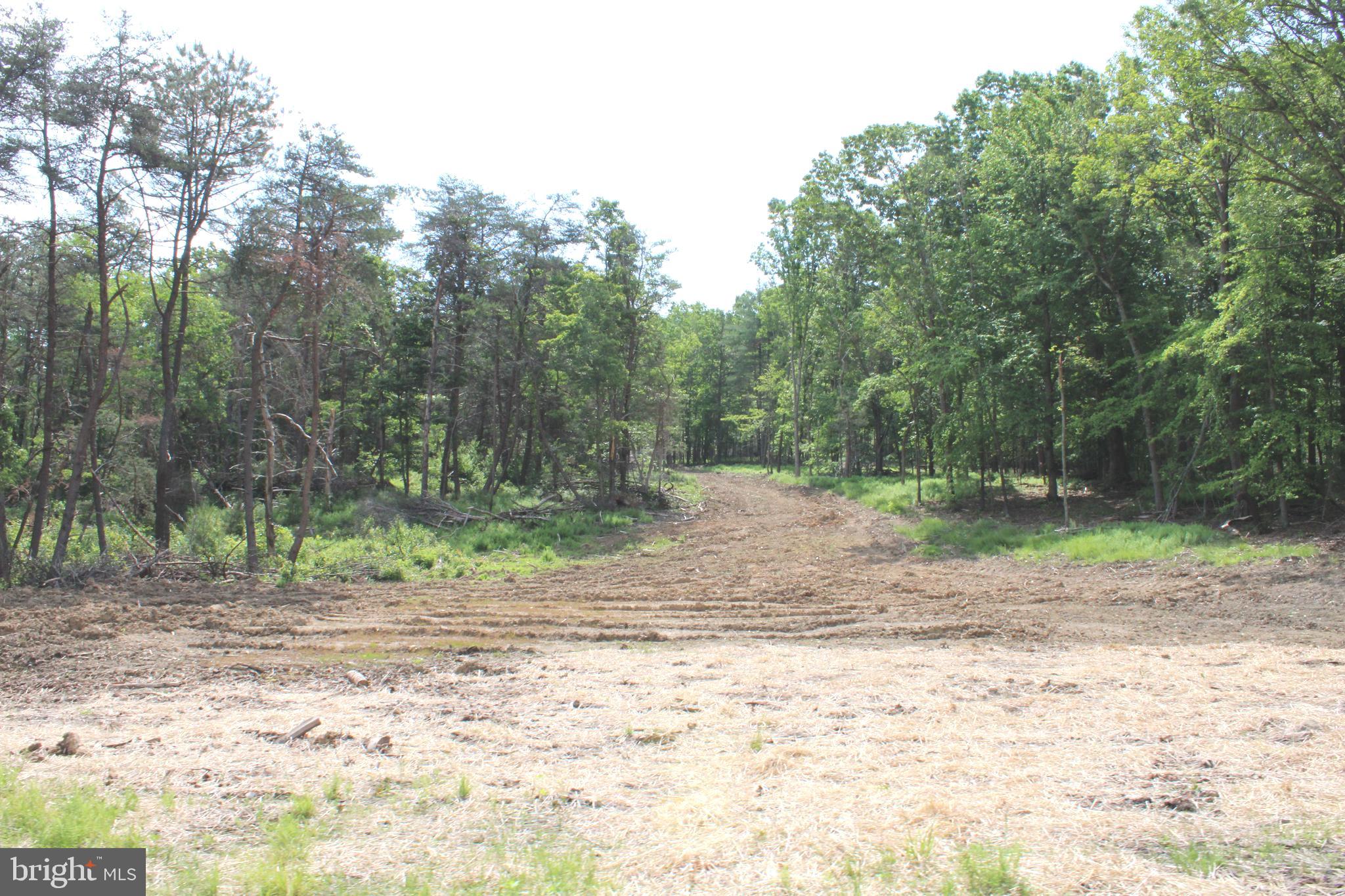 NONE UNRESTRICTED - Land