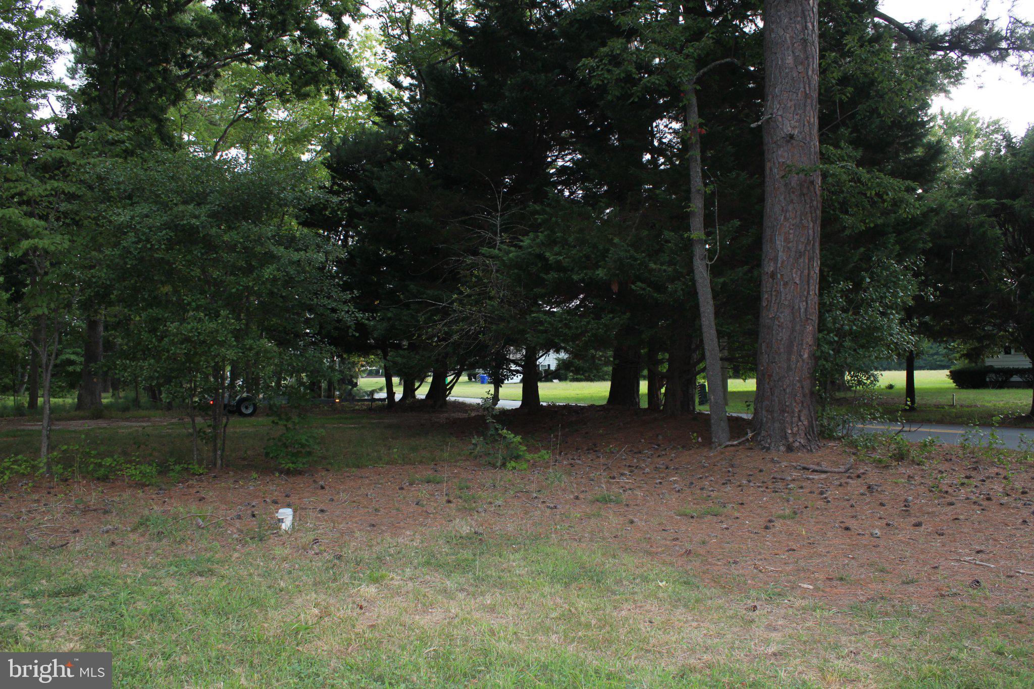 37151 CLUB HOUSE ROAD