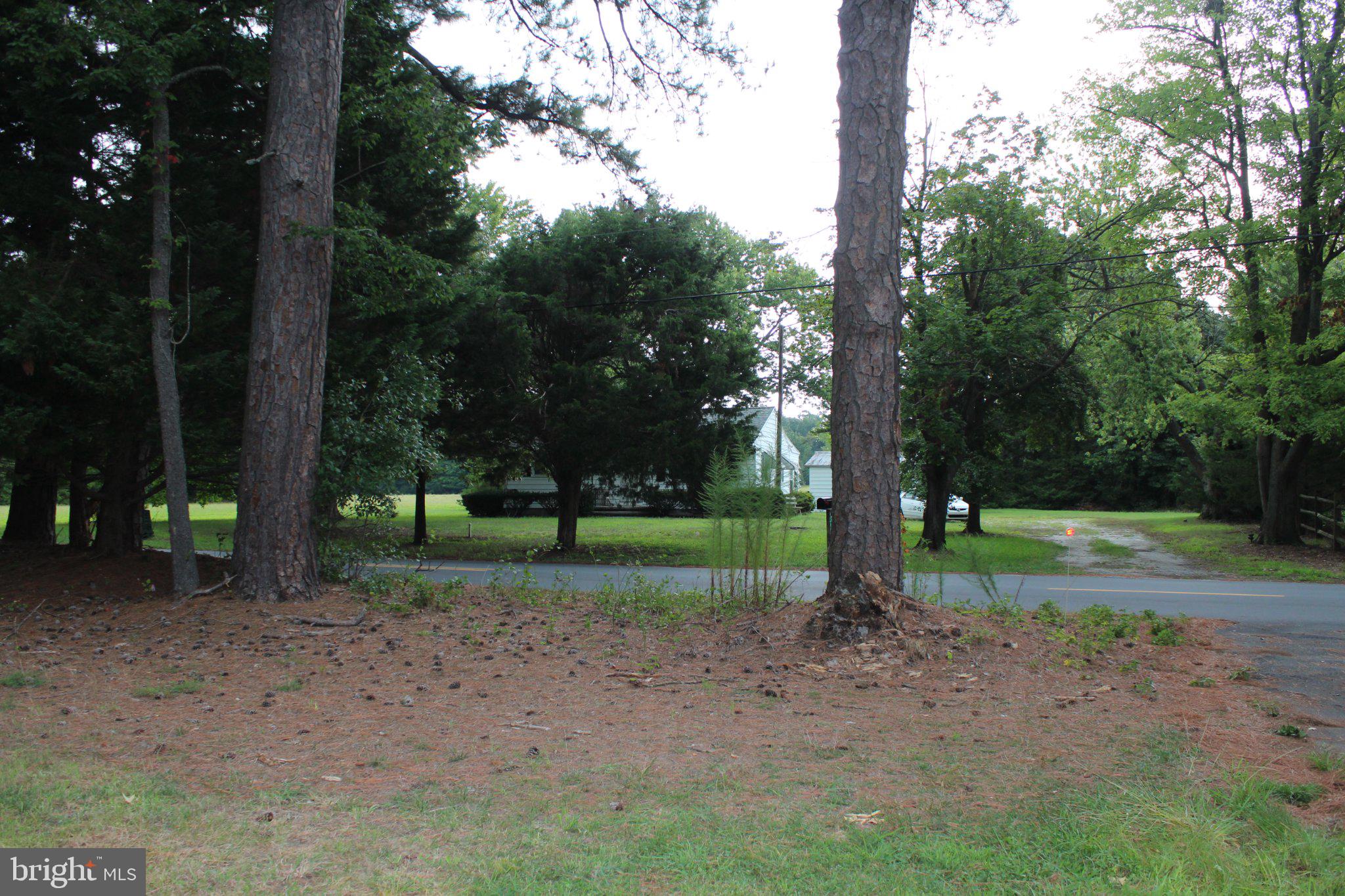 37151 CLUB HOUSE ROAD