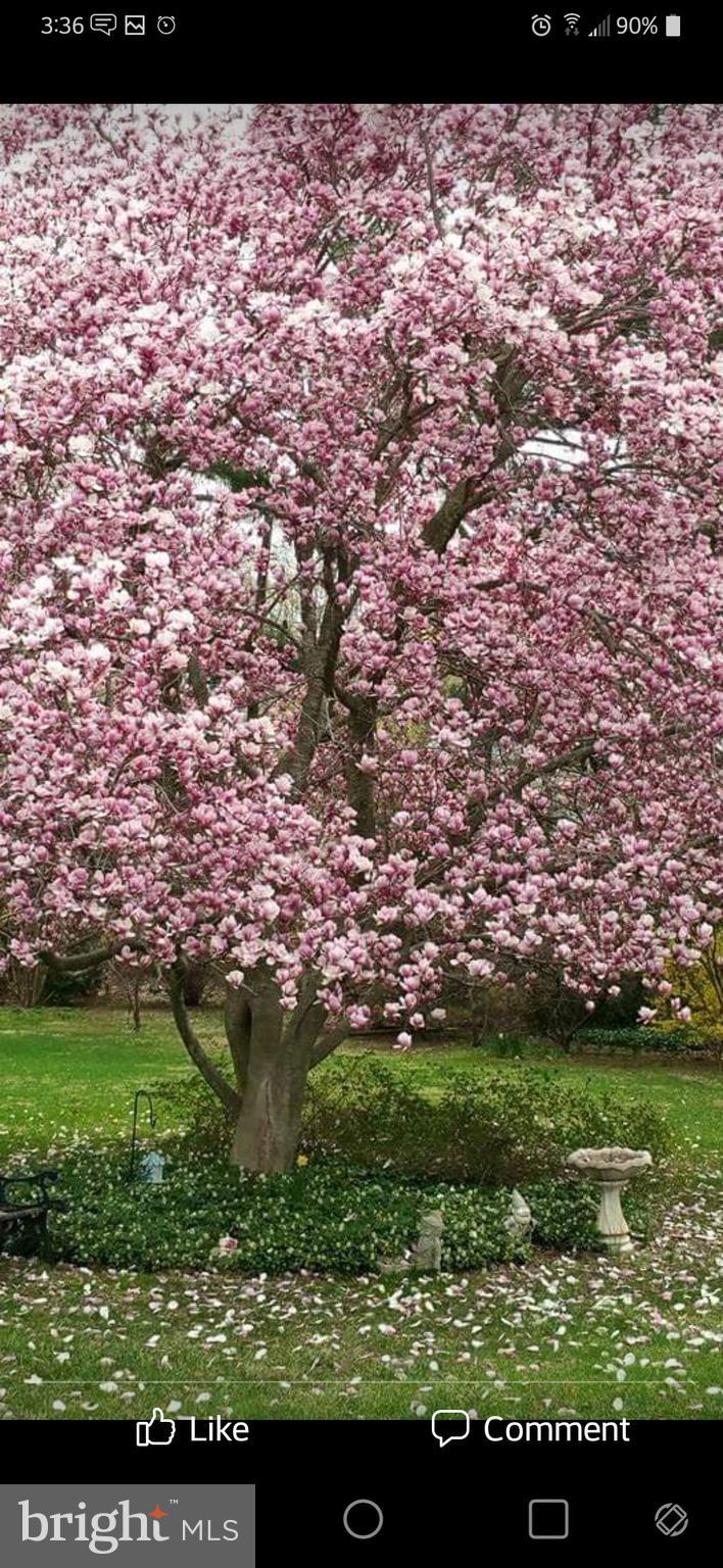 MARYWOOD - Residential