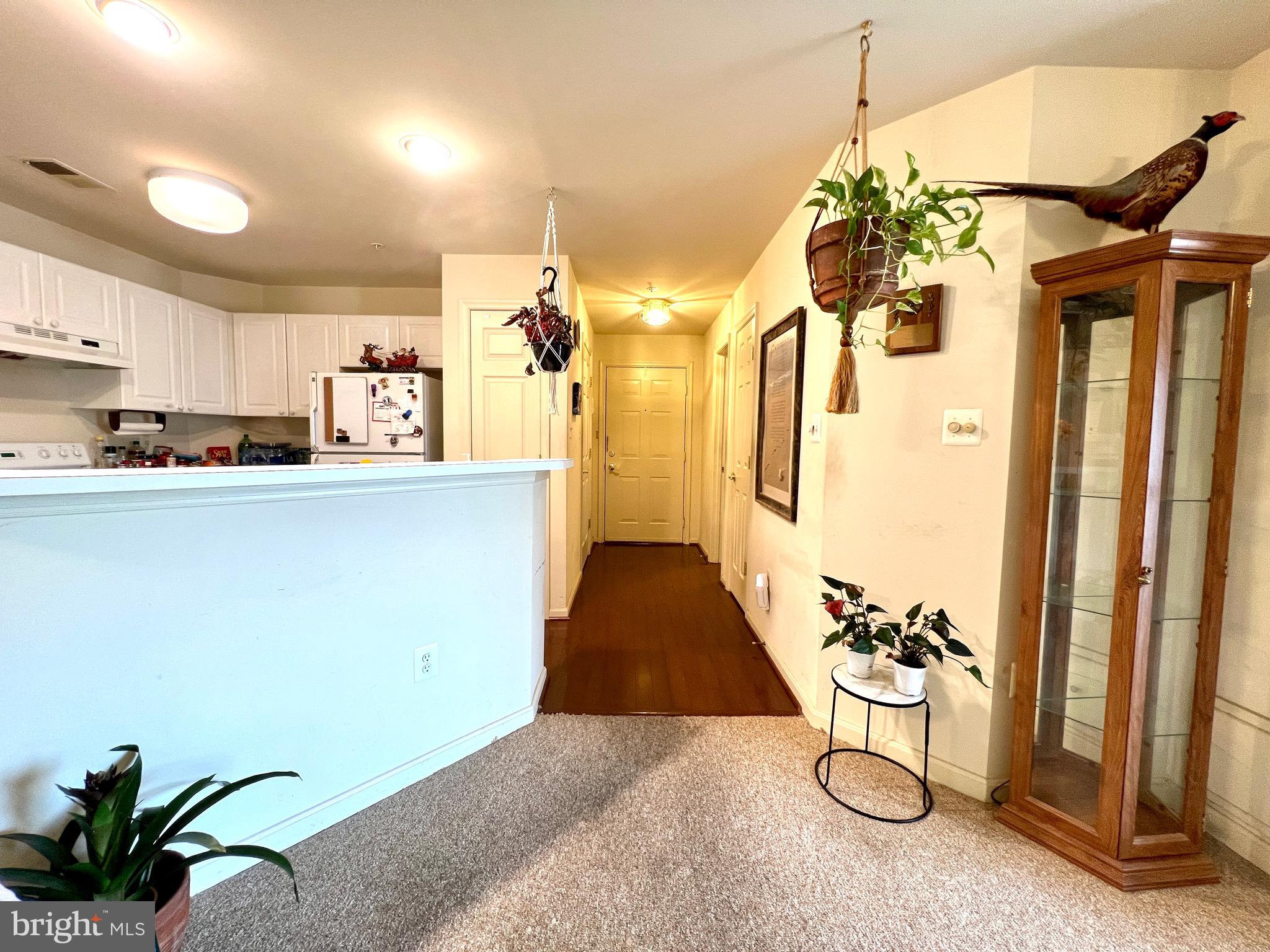 ECHO GLEN - Residential