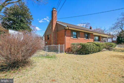 listing image 59
