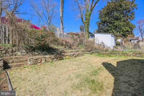 listing image 64