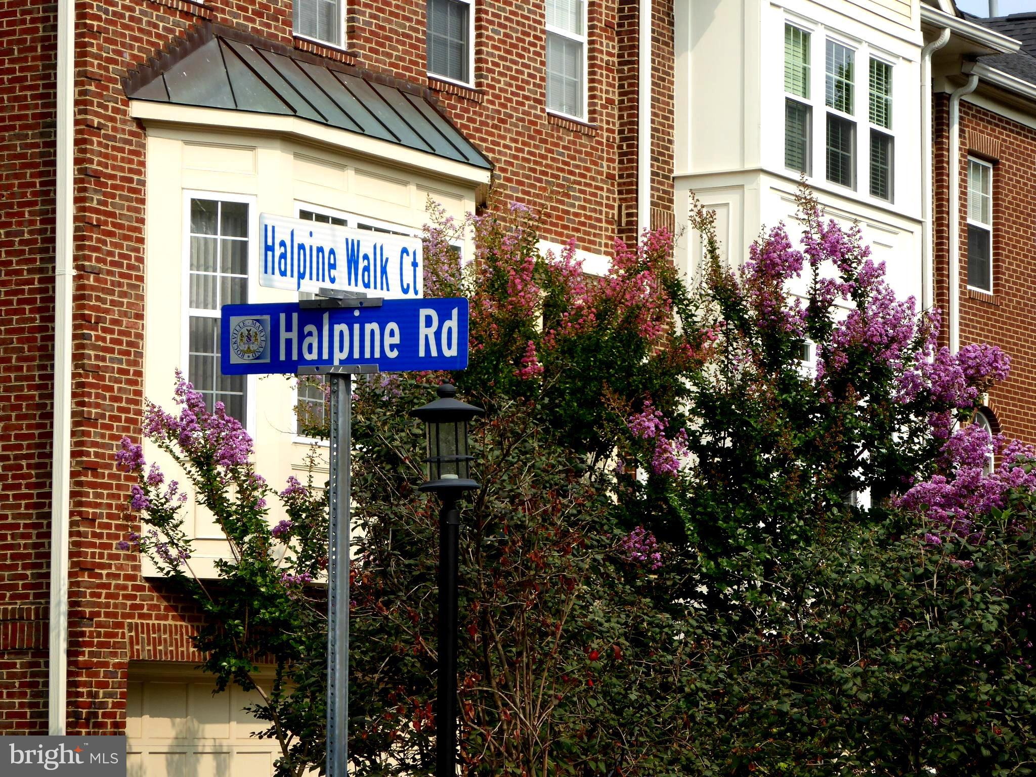 HALPINE SQUARE - Residential