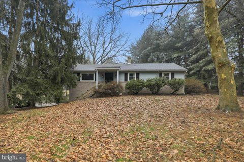 15 CATALINA DRIVE MOUNT WOLF PA 17347