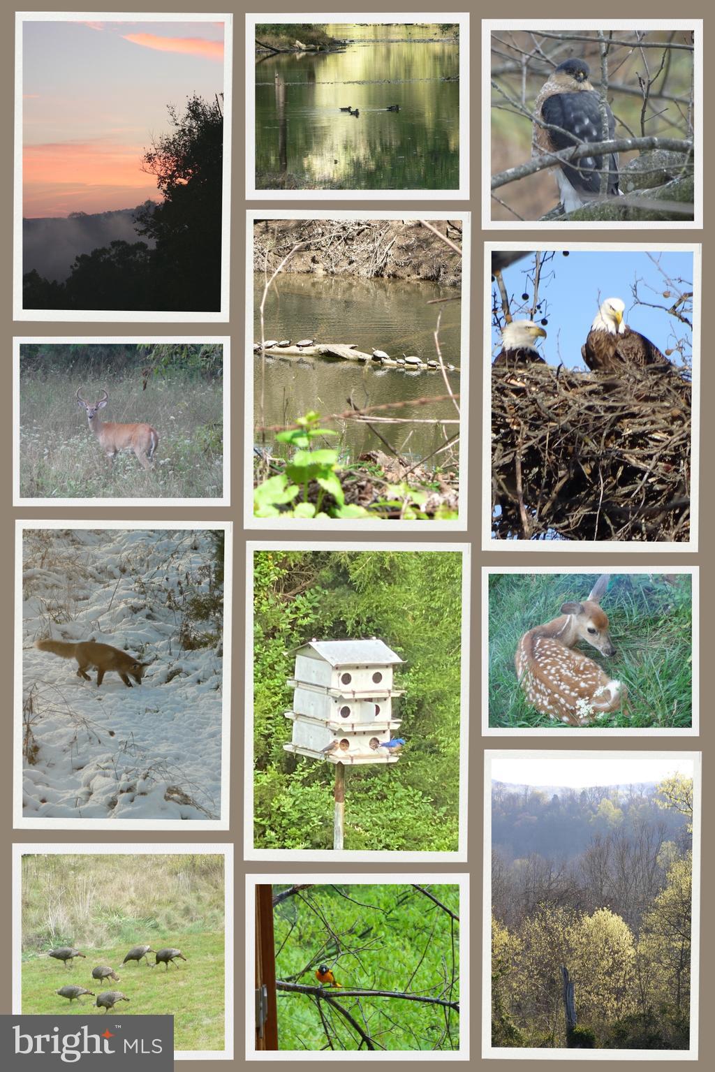 CRELLIN - Residential