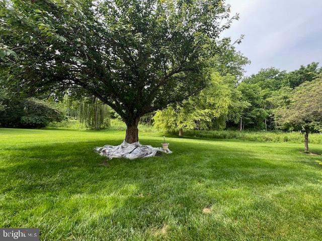 621 SPRINGHOUSE LANE