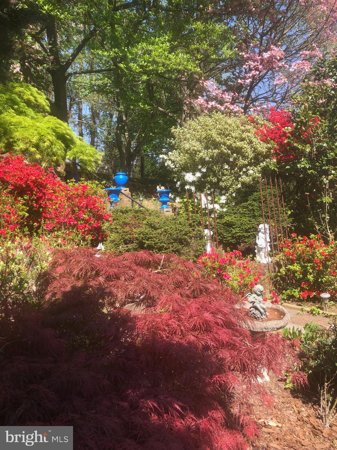 CHESTERBROOK WOODS - Residential