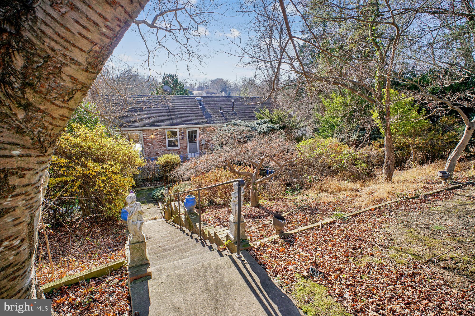 CHESTERBROOK WOODS - Residential
