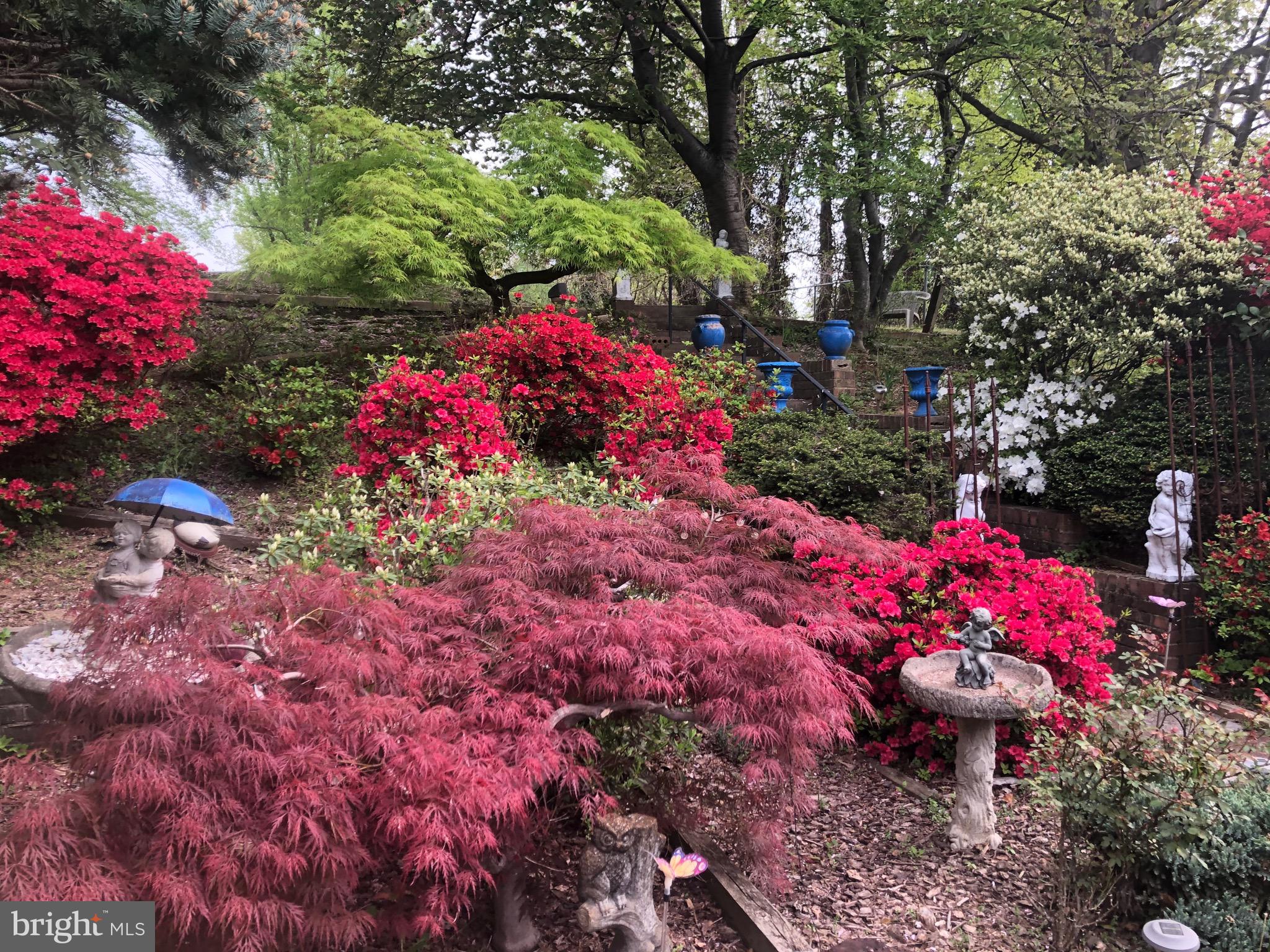 CHESTERBROOK WOODS - Residential