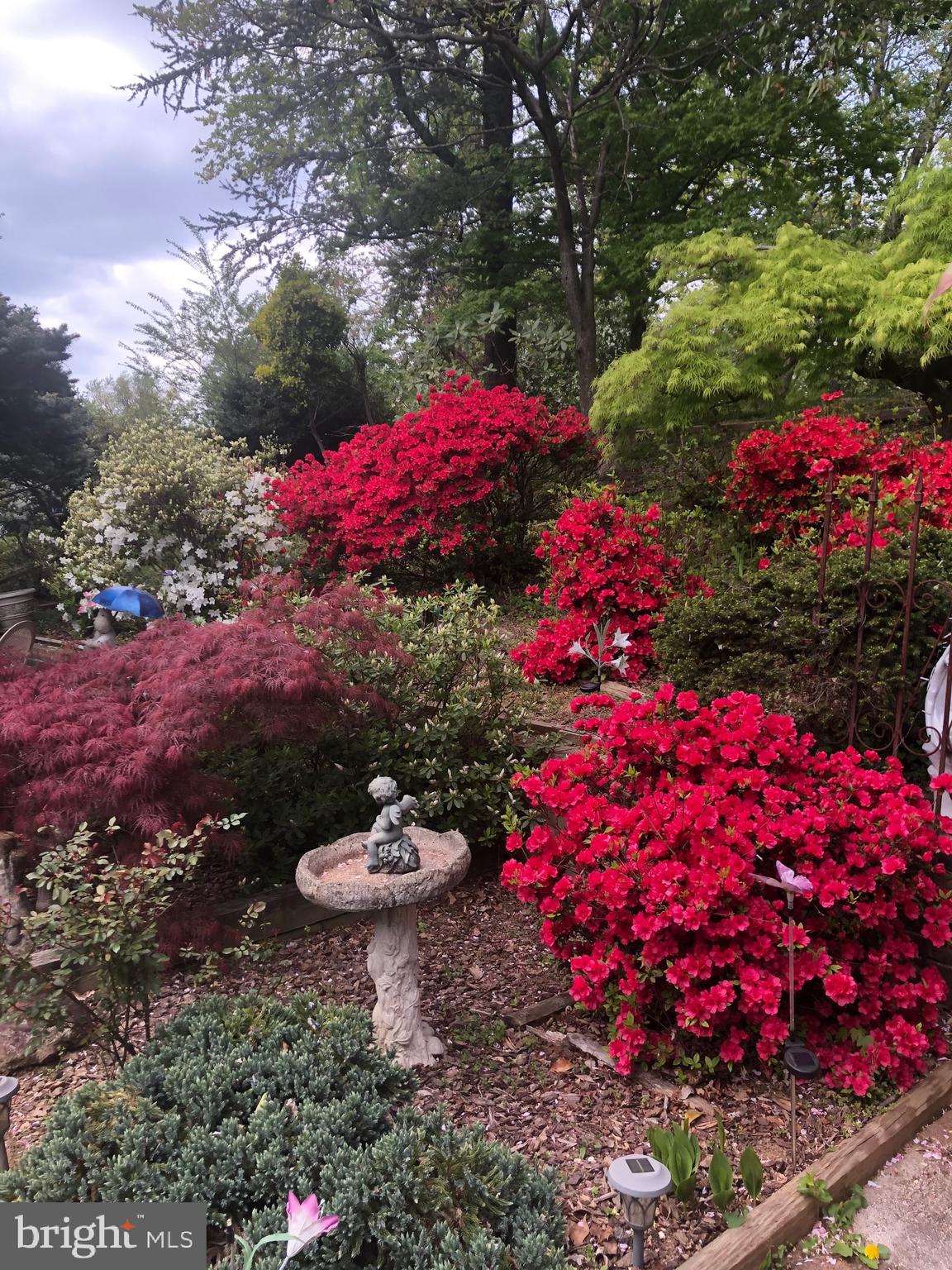 CHESTERBROOK WOODS - Residential