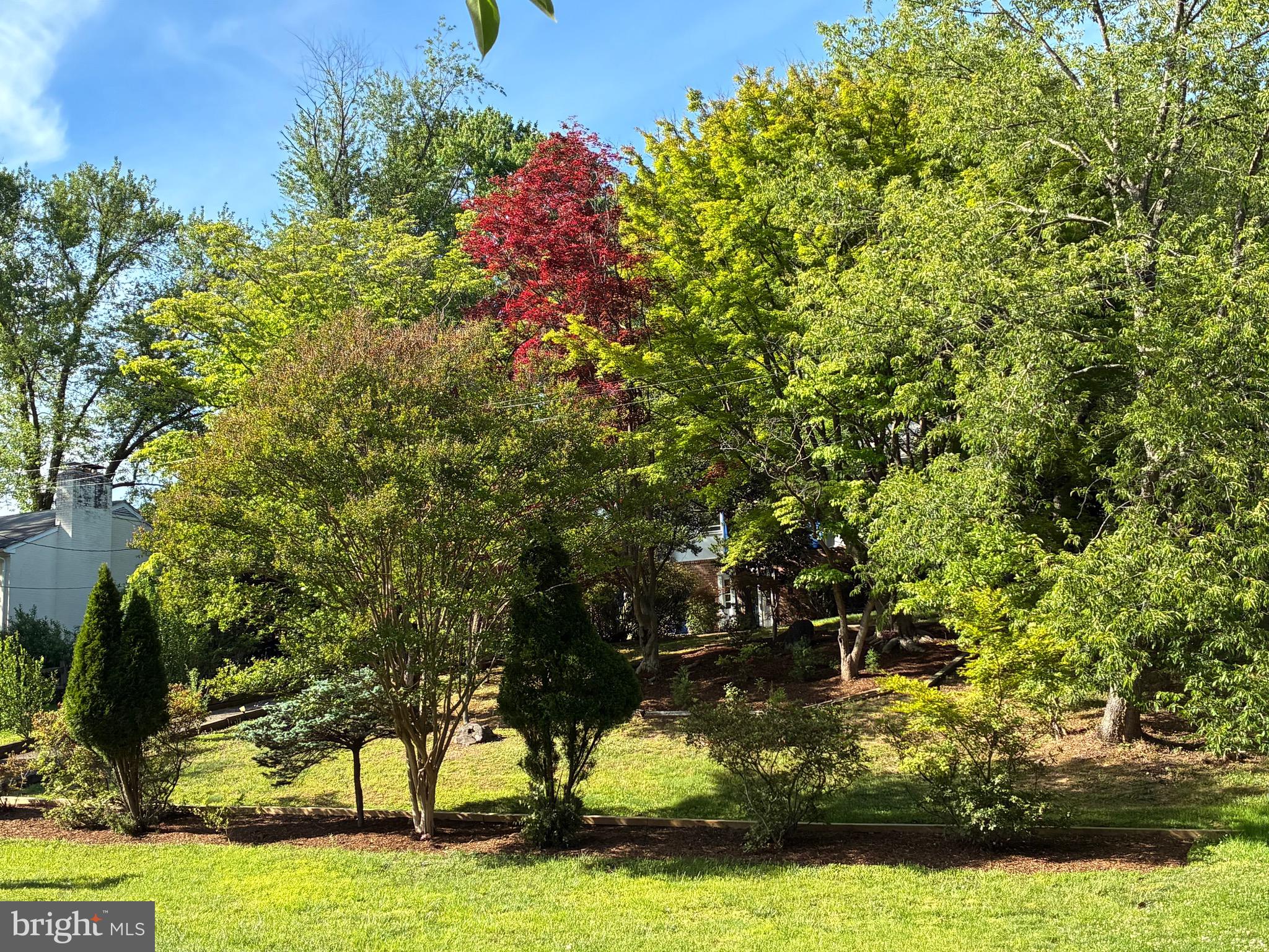 6144 CHESTERBROOK ROAD